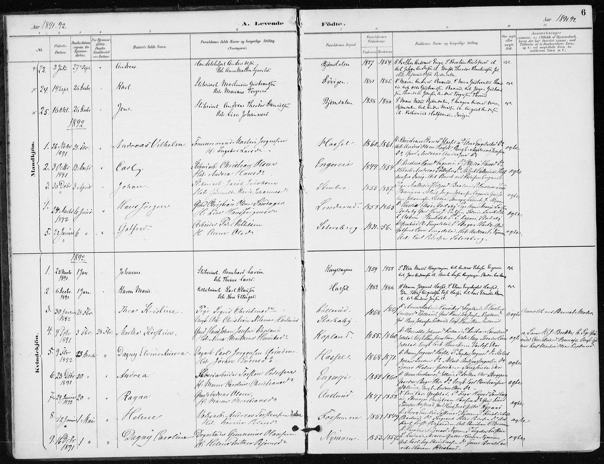 Modum kirkebøker, SAKO/A-234/F/Fa/L0016: Parish register (official) no. 16, 1890-1899, p. 6