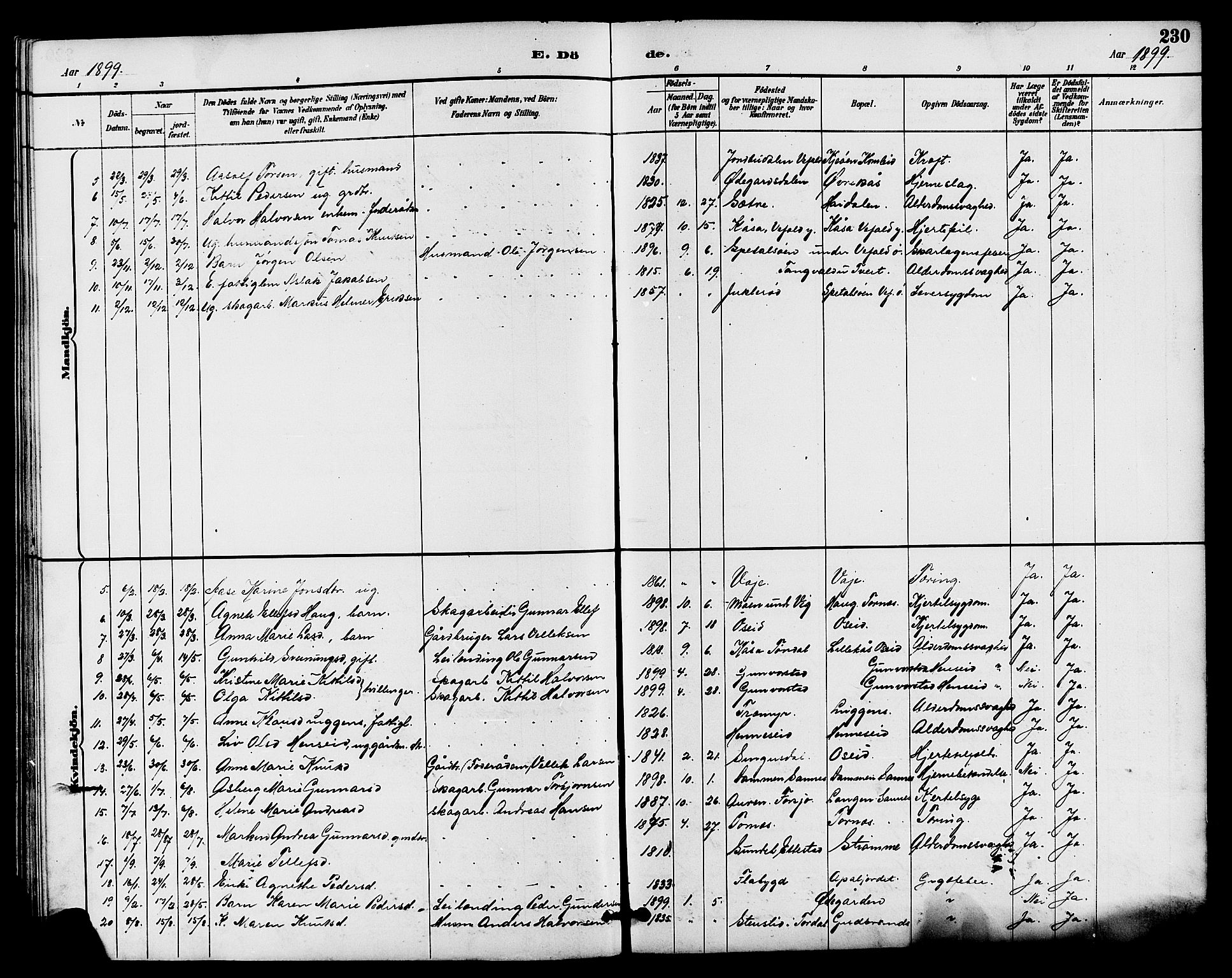Drangedal kirkebøker, SAKO/A-258/G/Ga/L0003: Parish register (copy) no. I 3, 1887-1906, p. 230