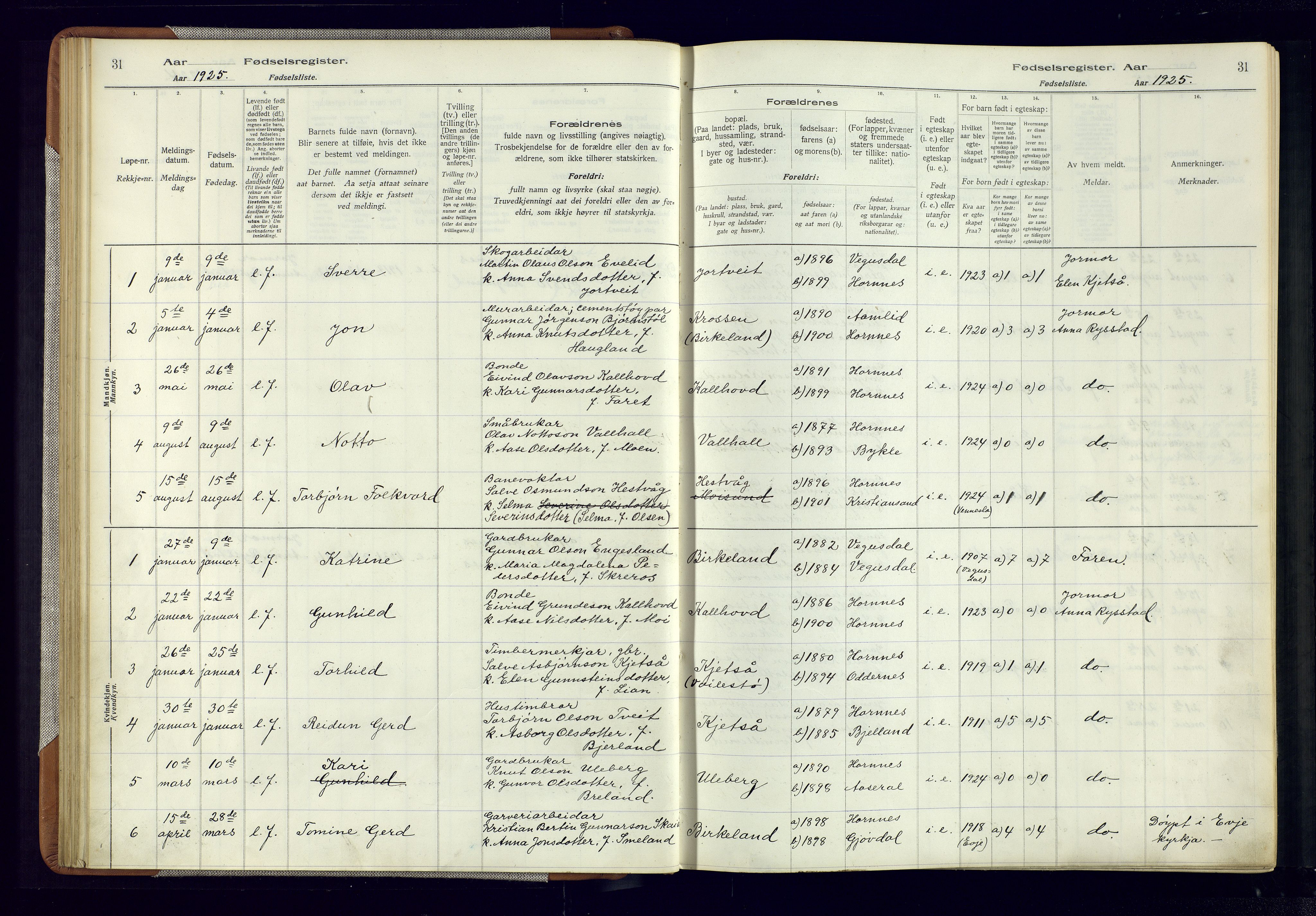 Evje sokneprestkontor, AV/SAK-1111-0008/J/Jc/L0006: Birth register no. 6, 1916-1982, p. 31