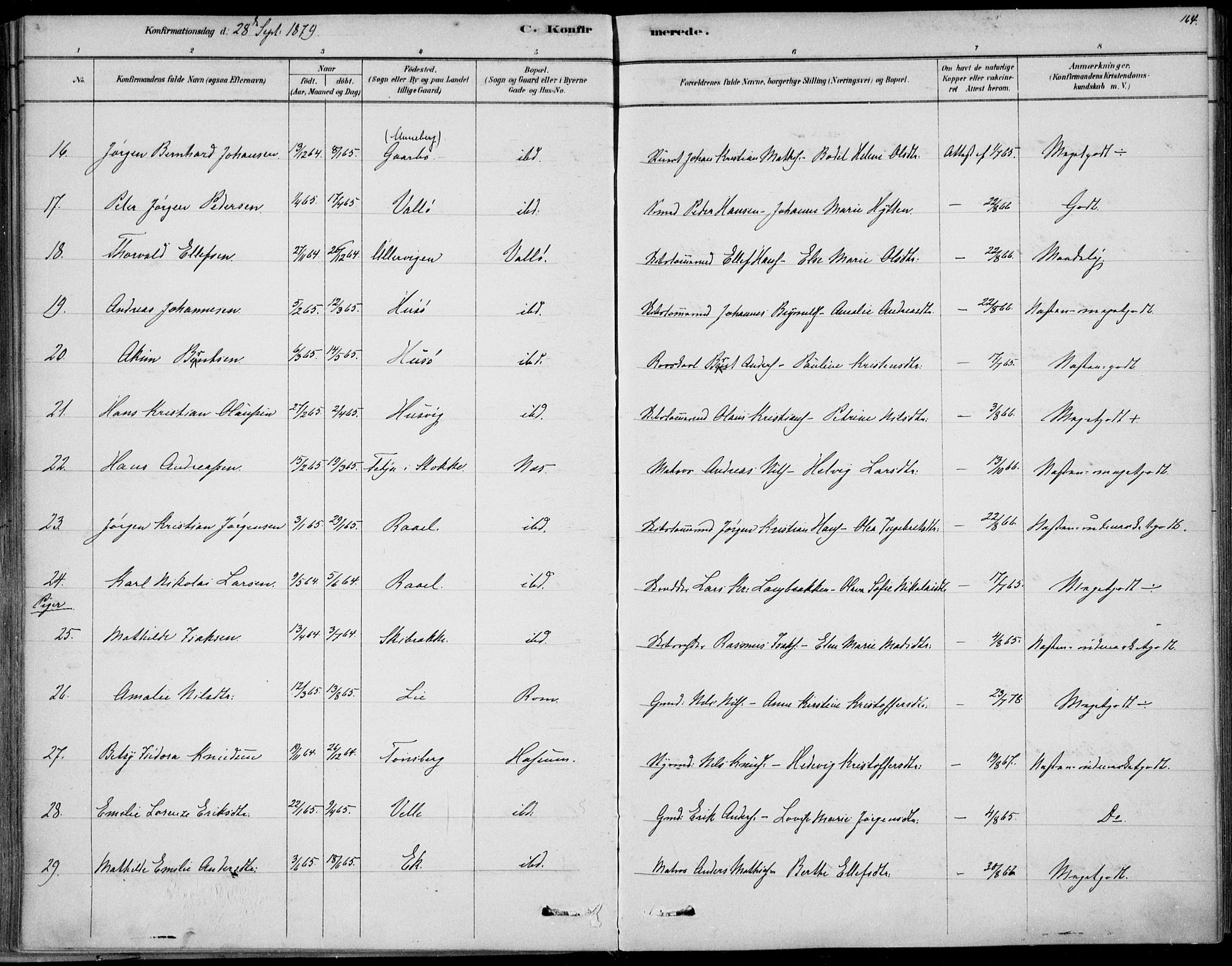 Sem kirkebøker, AV/SAKO-A-5/F/Fb/L0004: Parish register (official) no. II 4, 1878-1891, p. 164