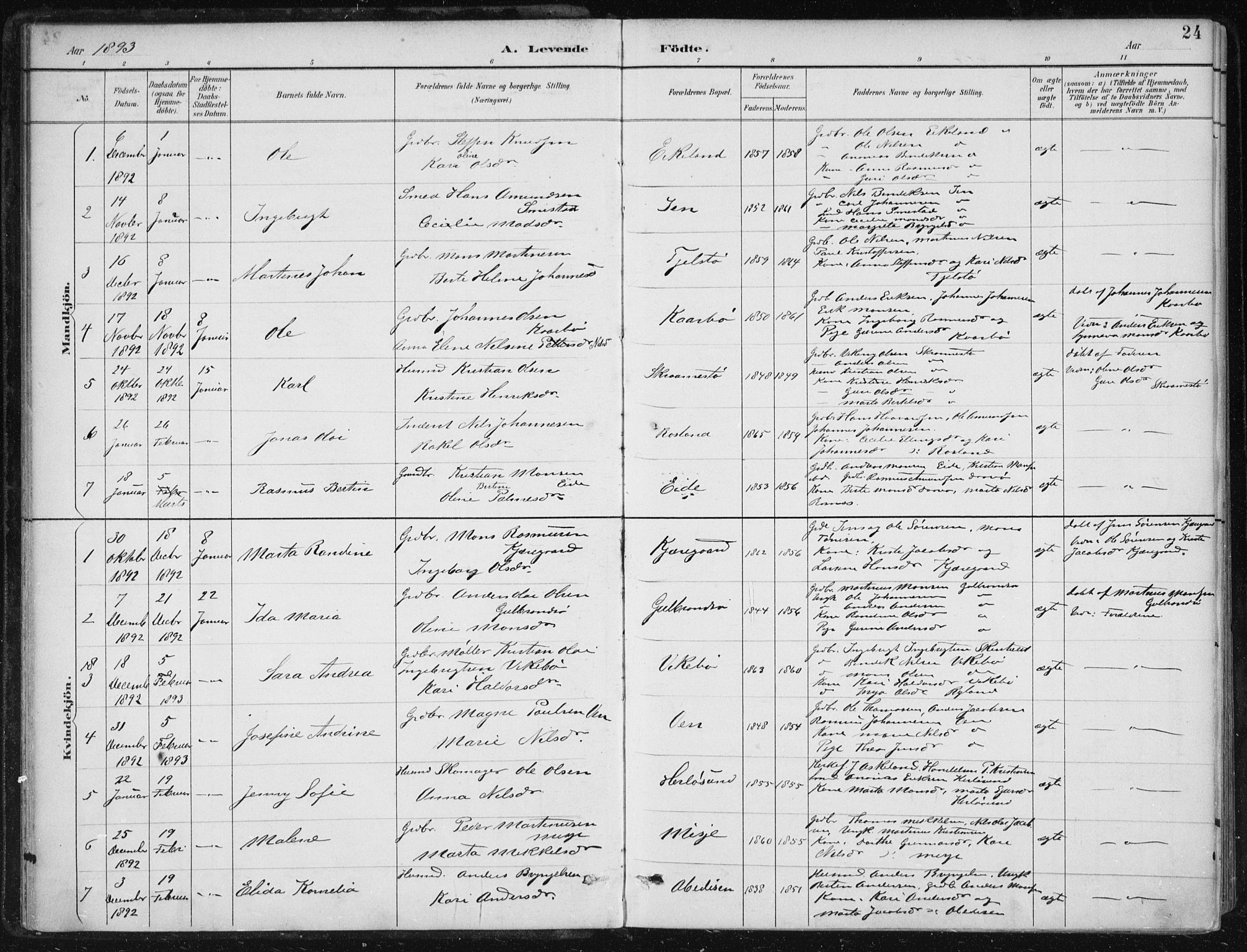 Herdla Sokneprestembete, AV/SAB-A-75701/H/Haa: Parish register (official) no. A 4, 1891-1905, p. 24
