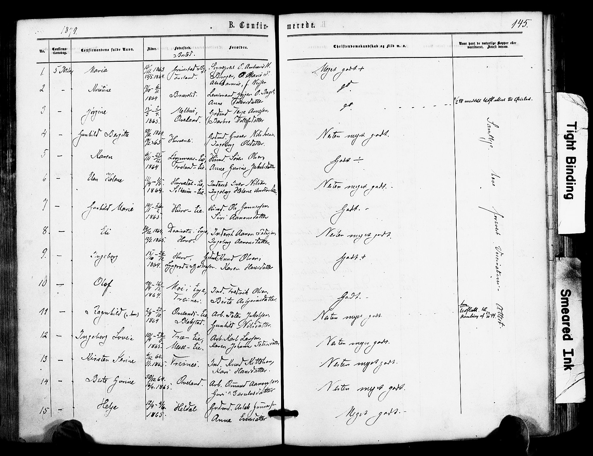 Froland sokneprestkontor, AV/SAK-1111-0013/F/Fa/L0003: Parish register (official) no. A 3, 1864-1881, p. 145