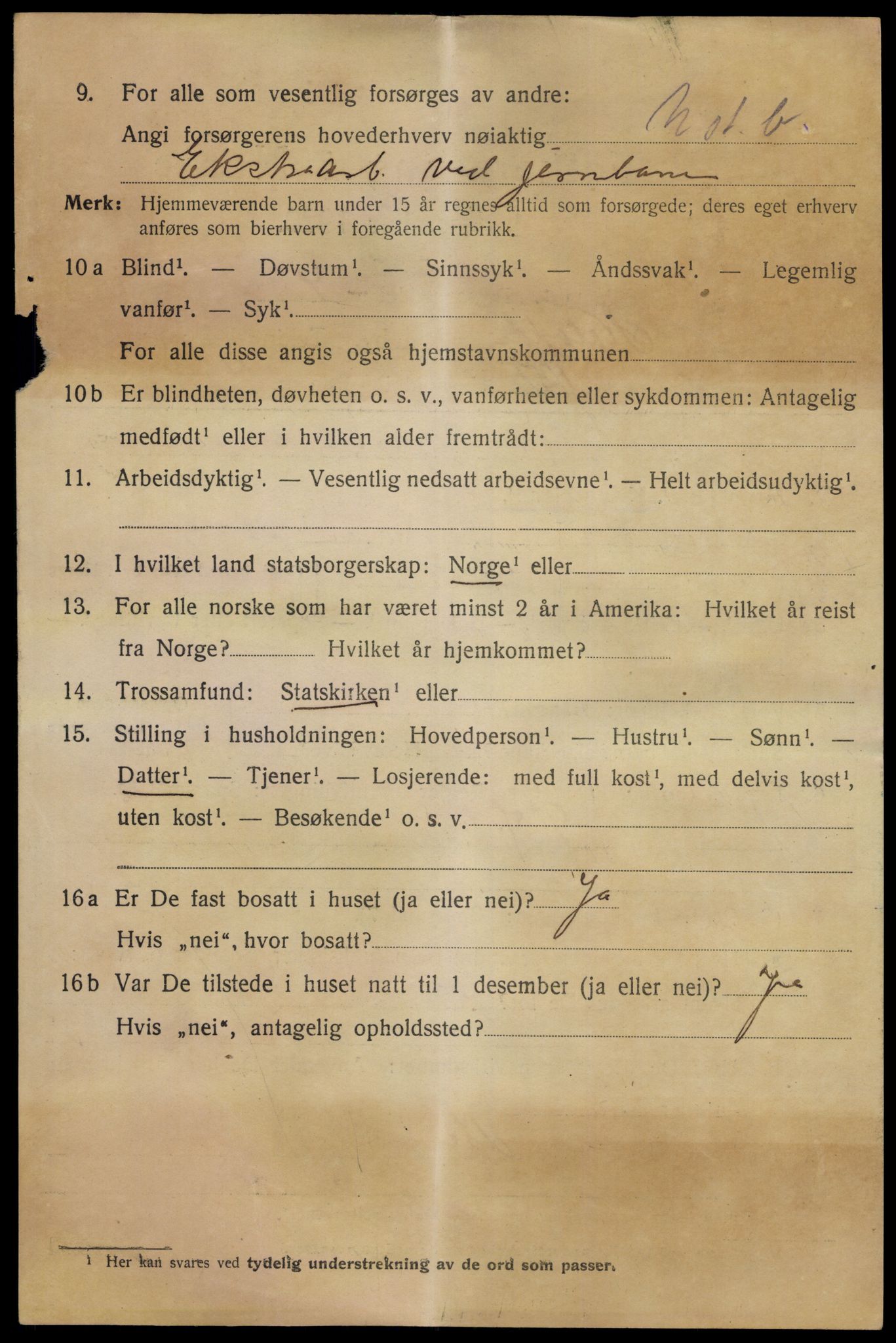 SAKO, 1920 census for Notodden, 1920, p. 9815