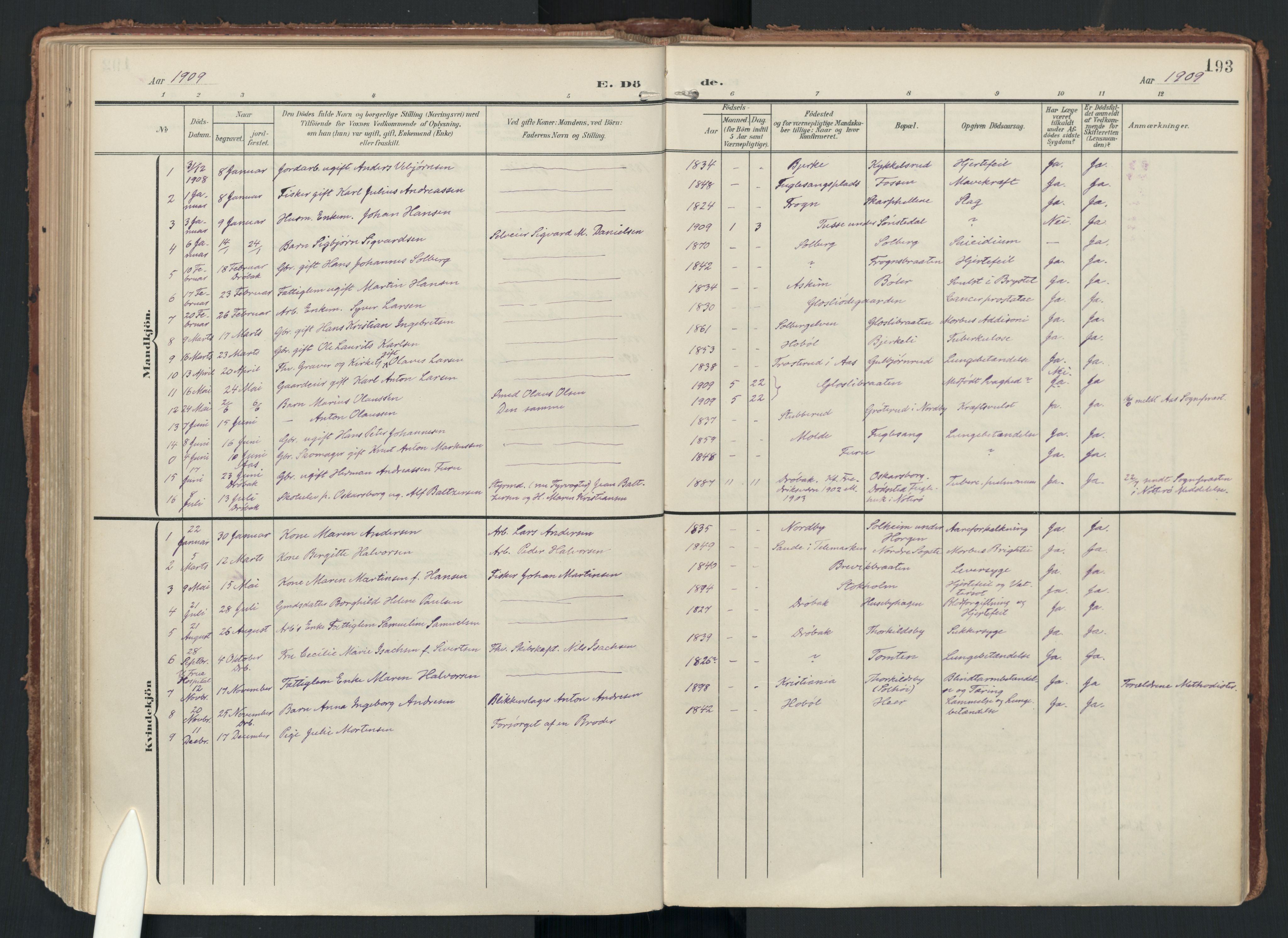 Drøbak prestekontor Kirkebøker, SAO/A-10142a/F/Fc/L0003: Parish register (official) no. III 3, 1901-1920, p. 193