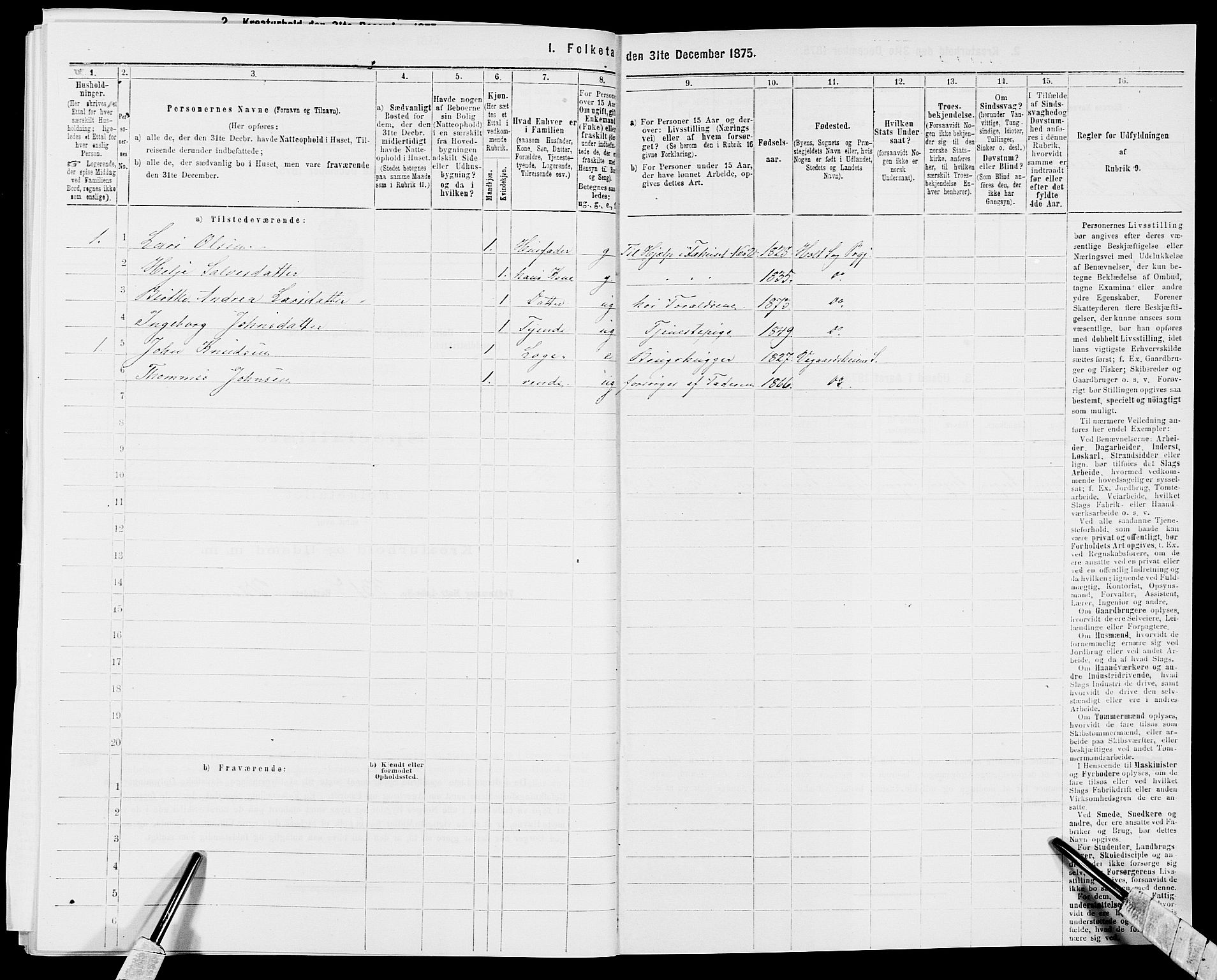 SAK, 1875 census for 0914L Holt/Holt, 1875, p. 294