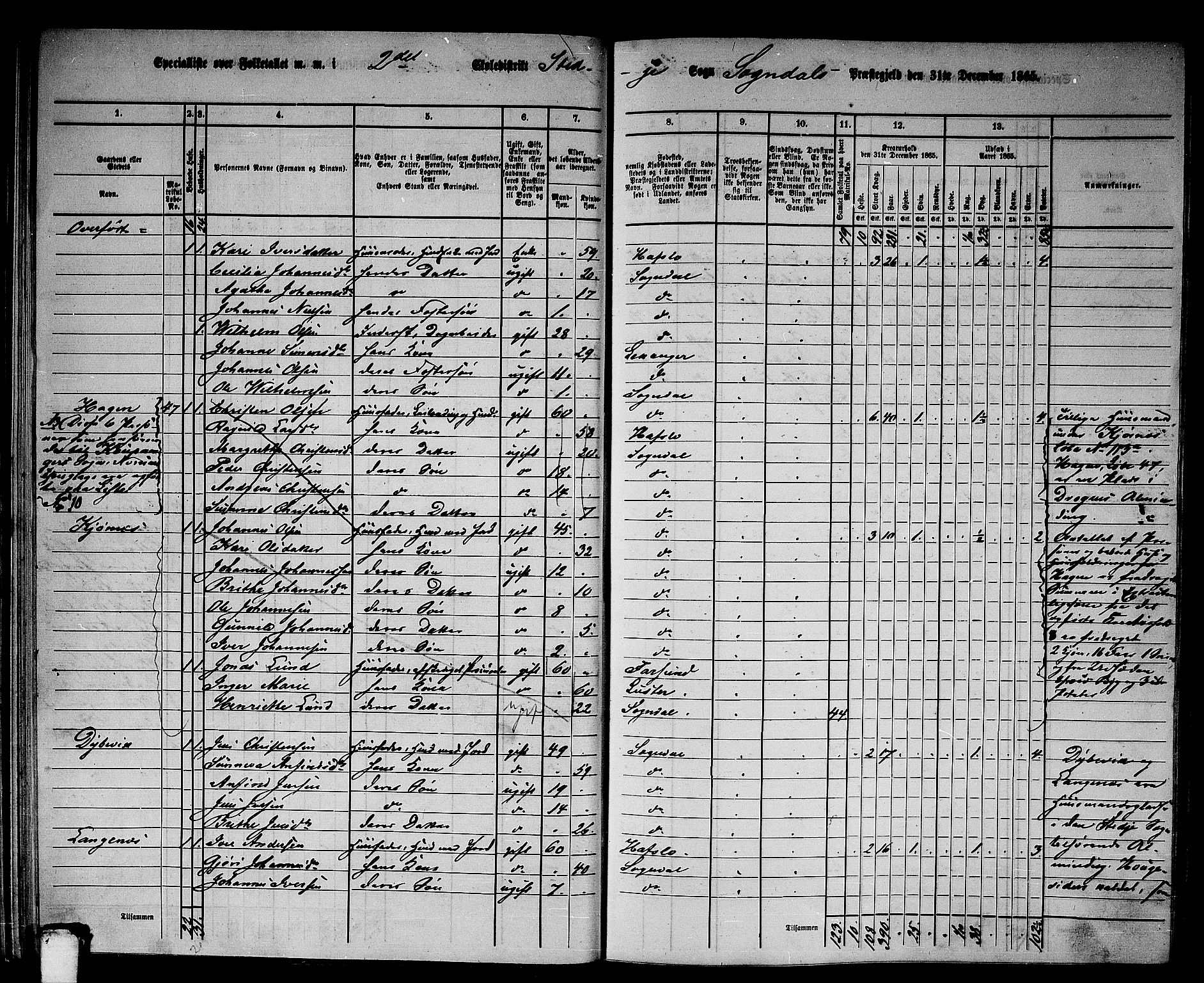 RA, 1865 census for Sogndal, 1865, p. 47