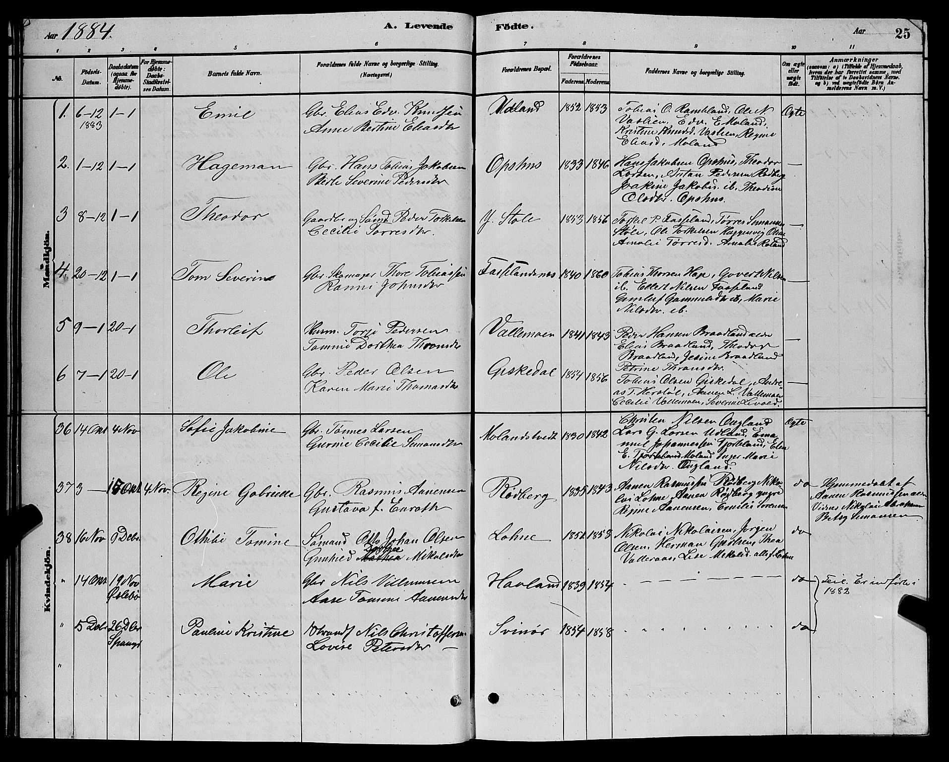 Sør-Audnedal sokneprestkontor, AV/SAK-1111-0039/F/Fb/Fbb/L0005: Parish register (copy) no. B 5, 1880-1892, p. 25