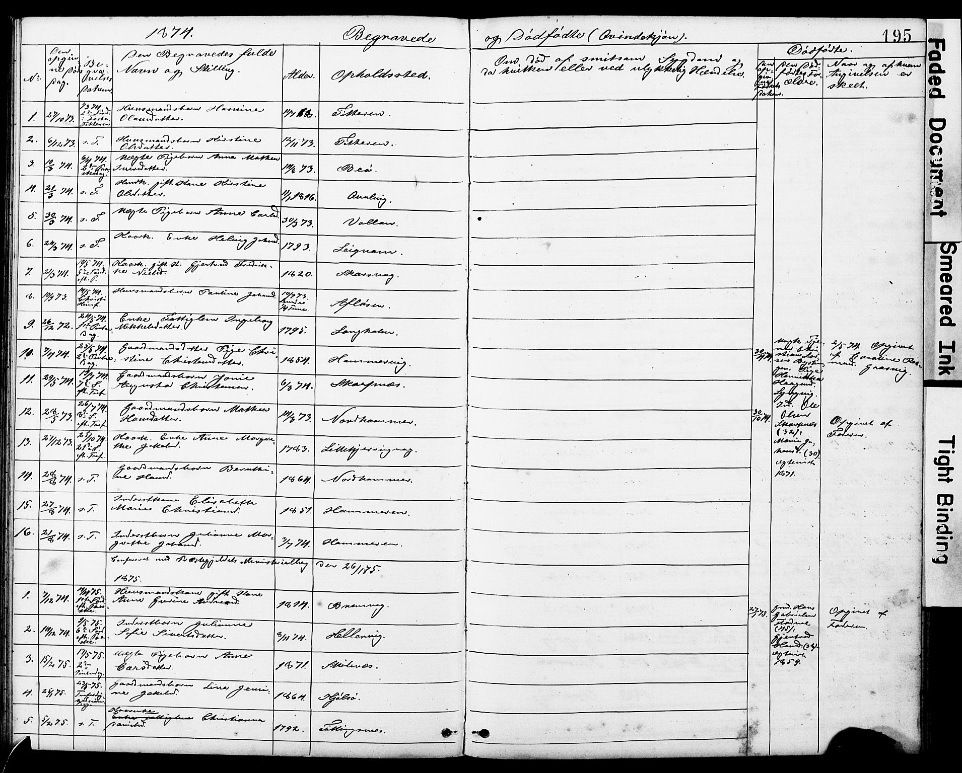 Ministerialprotokoller, klokkerbøker og fødselsregistre - Sør-Trøndelag, SAT/A-1456/634/L0541: Parish register (copy) no. 634C03, 1874-1891, p. 195