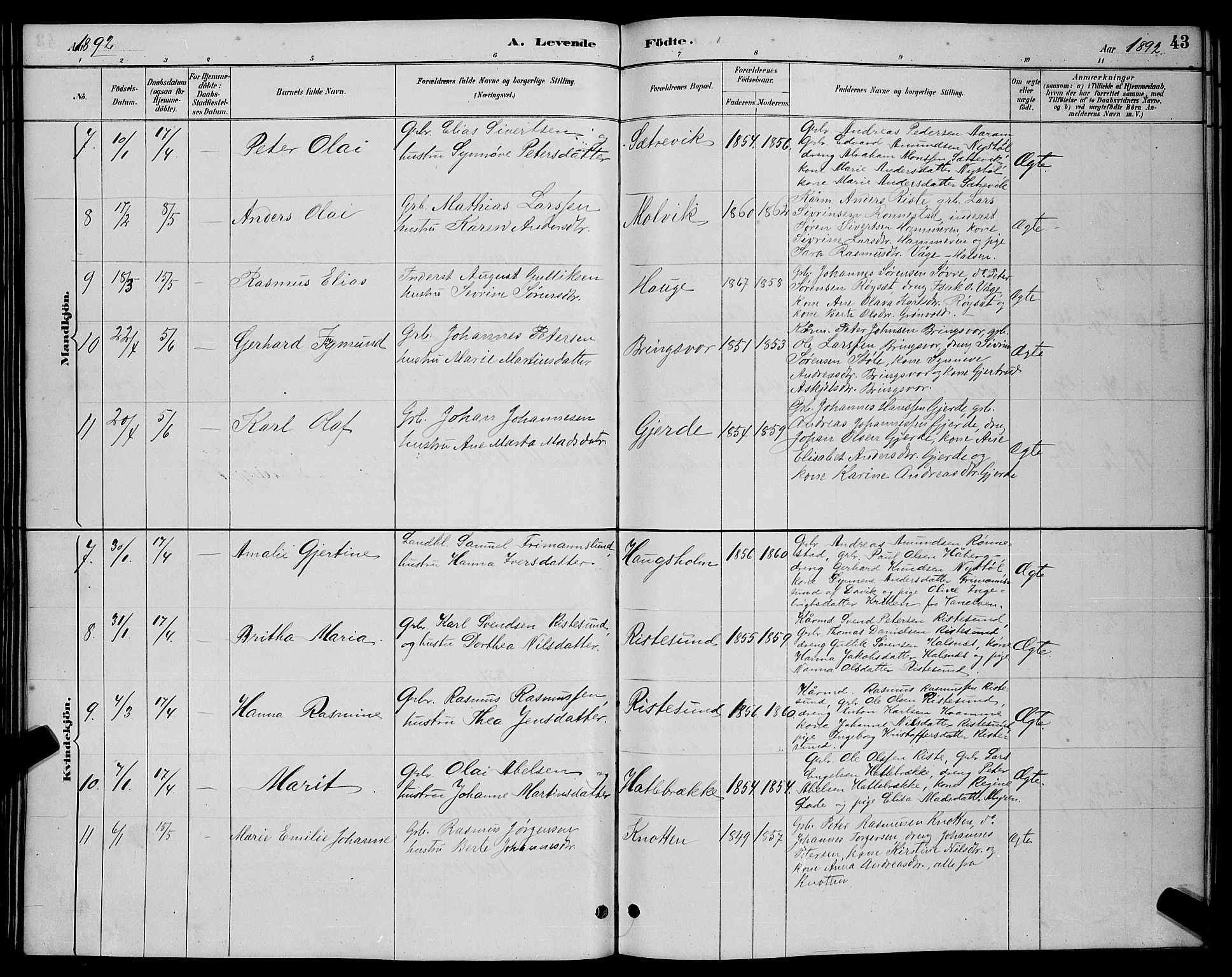 Ministerialprotokoller, klokkerbøker og fødselsregistre - Møre og Romsdal, AV/SAT-A-1454/503/L0048: Parish register (copy) no. 503C03, 1885-1893, p. 43