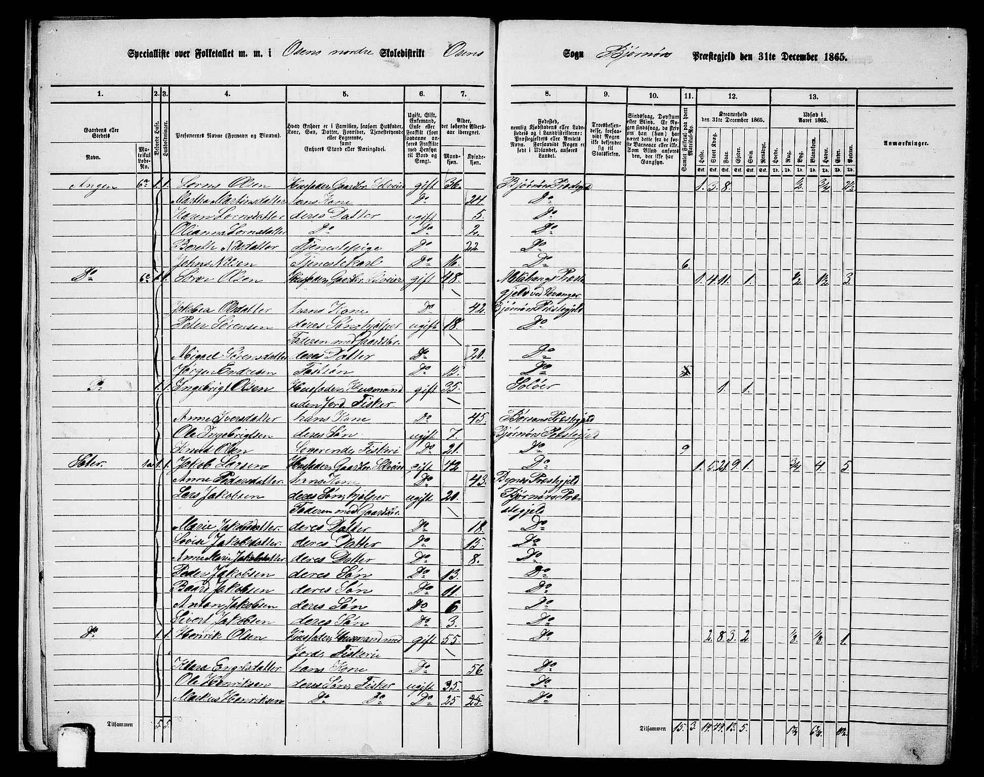 RA, 1865 census for Bjørnør, 1865, p. 12