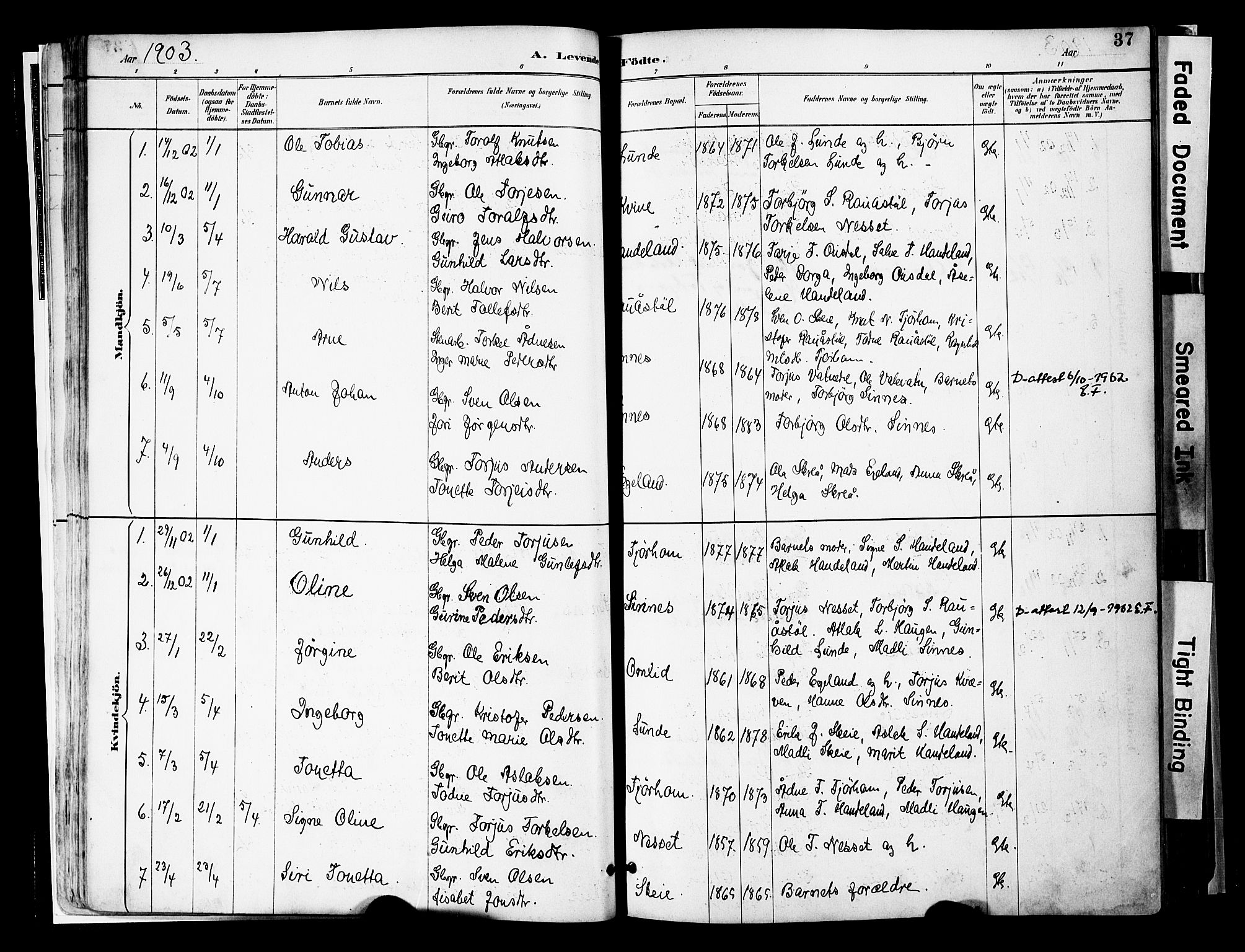 Sirdal sokneprestkontor, SAK/1111-0036/F/Fa/Faa/L0001: Parish register (official) no. A 1, 1887-1910, p. 37