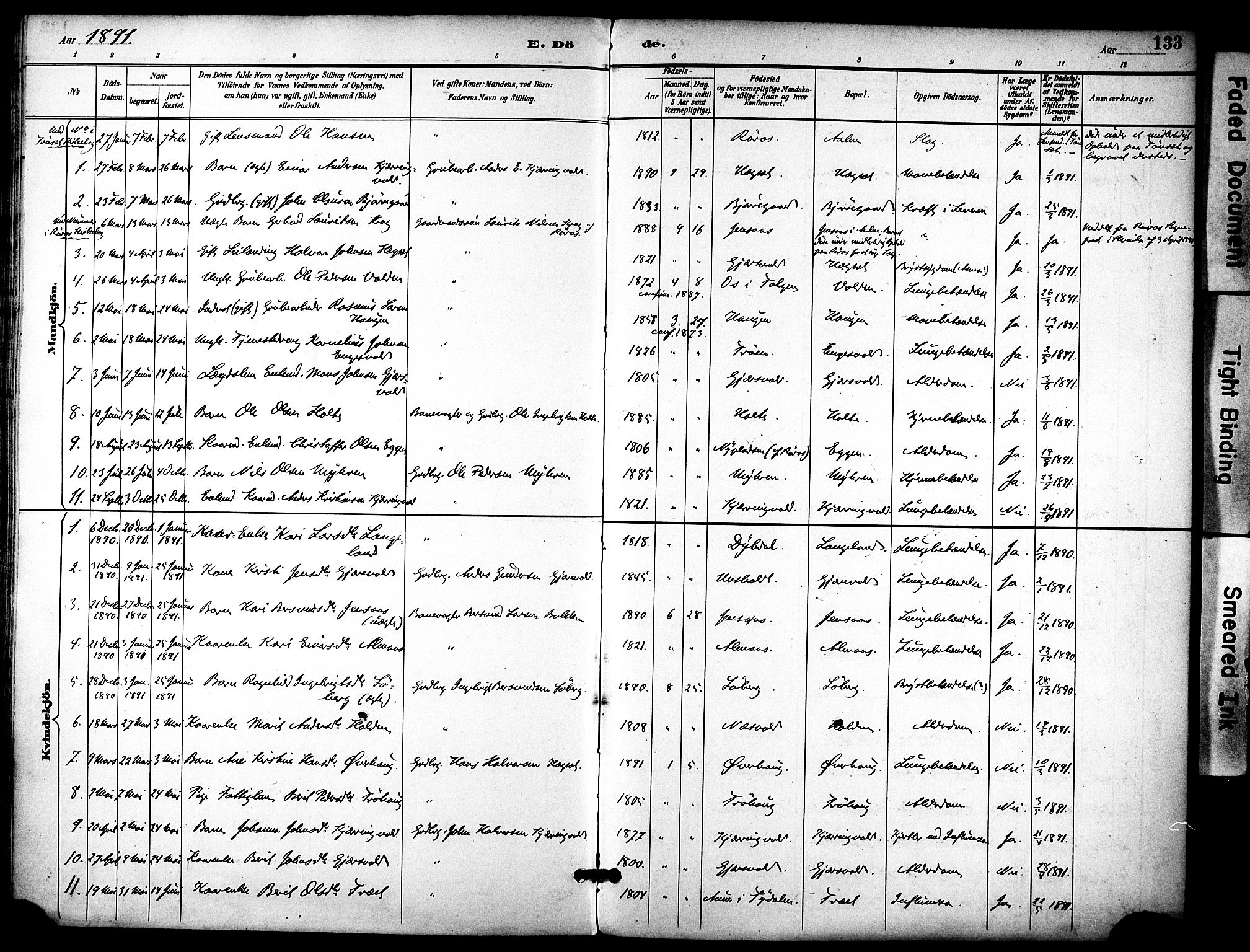 Ministerialprotokoller, klokkerbøker og fødselsregistre - Sør-Trøndelag, SAT/A-1456/686/L0984: Parish register (official) no. 686A02, 1891-1906, p. 133