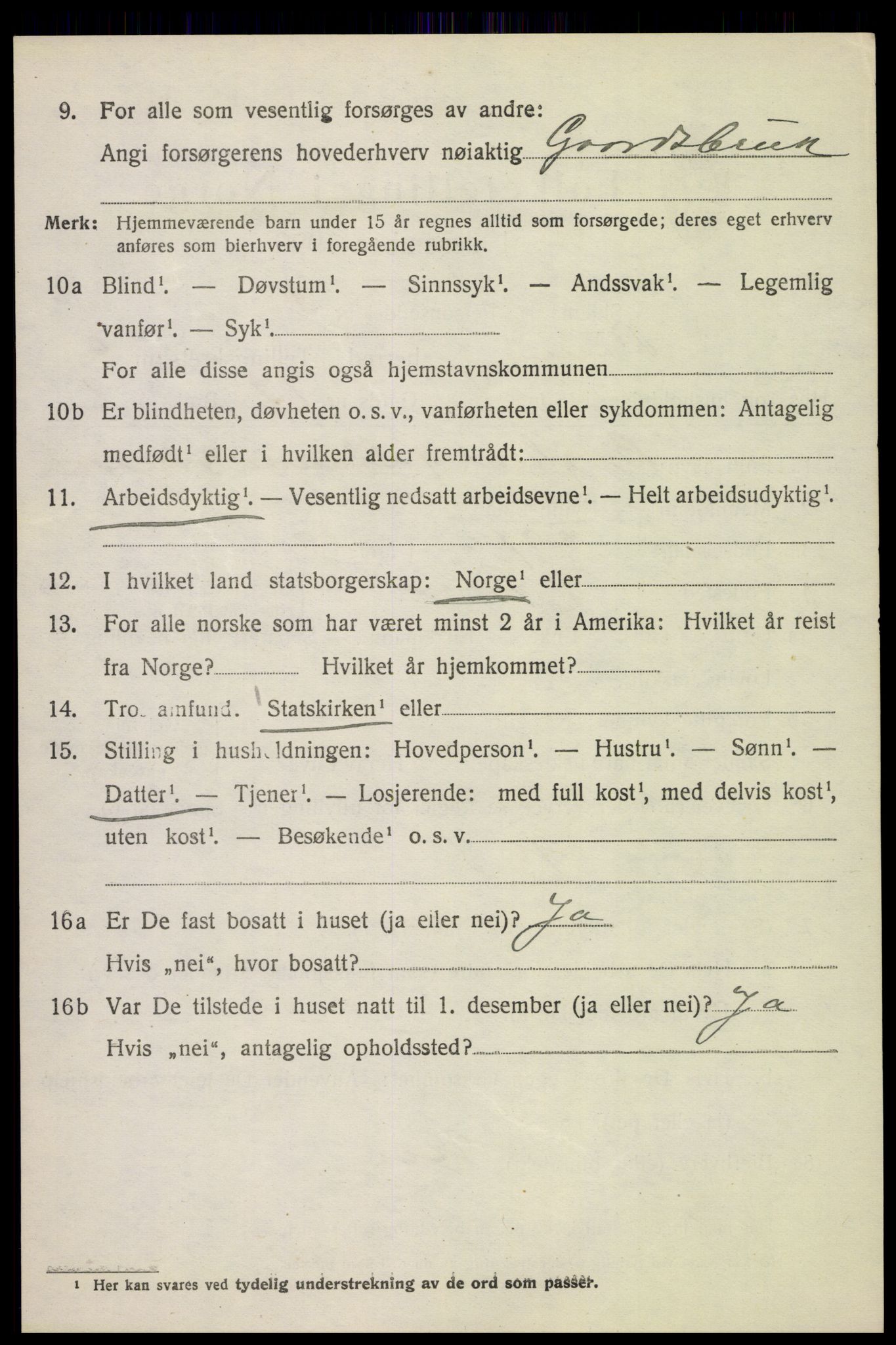 SAH, 1920 census for Lom, 1920, p. 3781