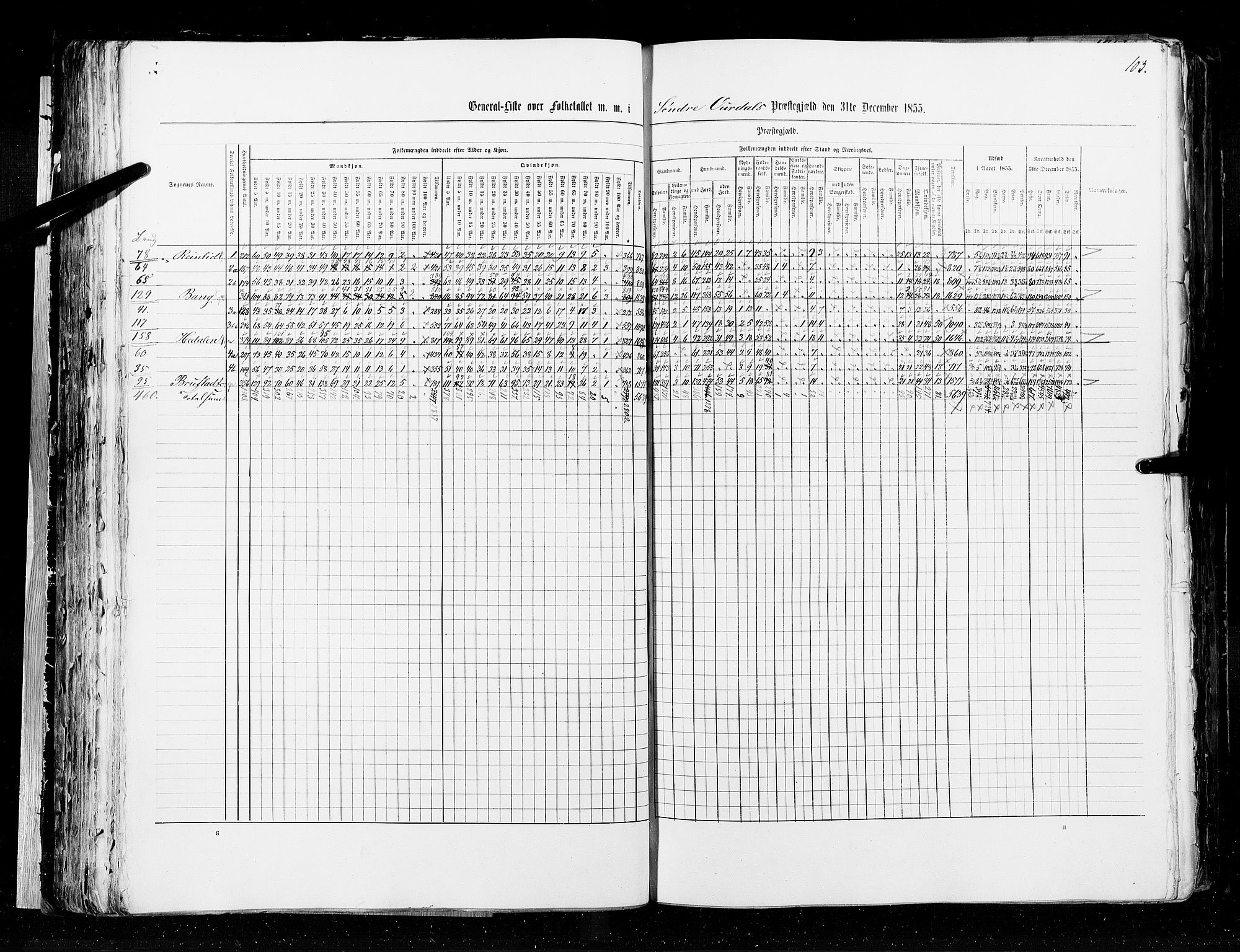 RA, Census 1855, vol. 2: Kristians amt, Buskerud amt og Jarlsberg og Larvik amt, 1855, p. 103