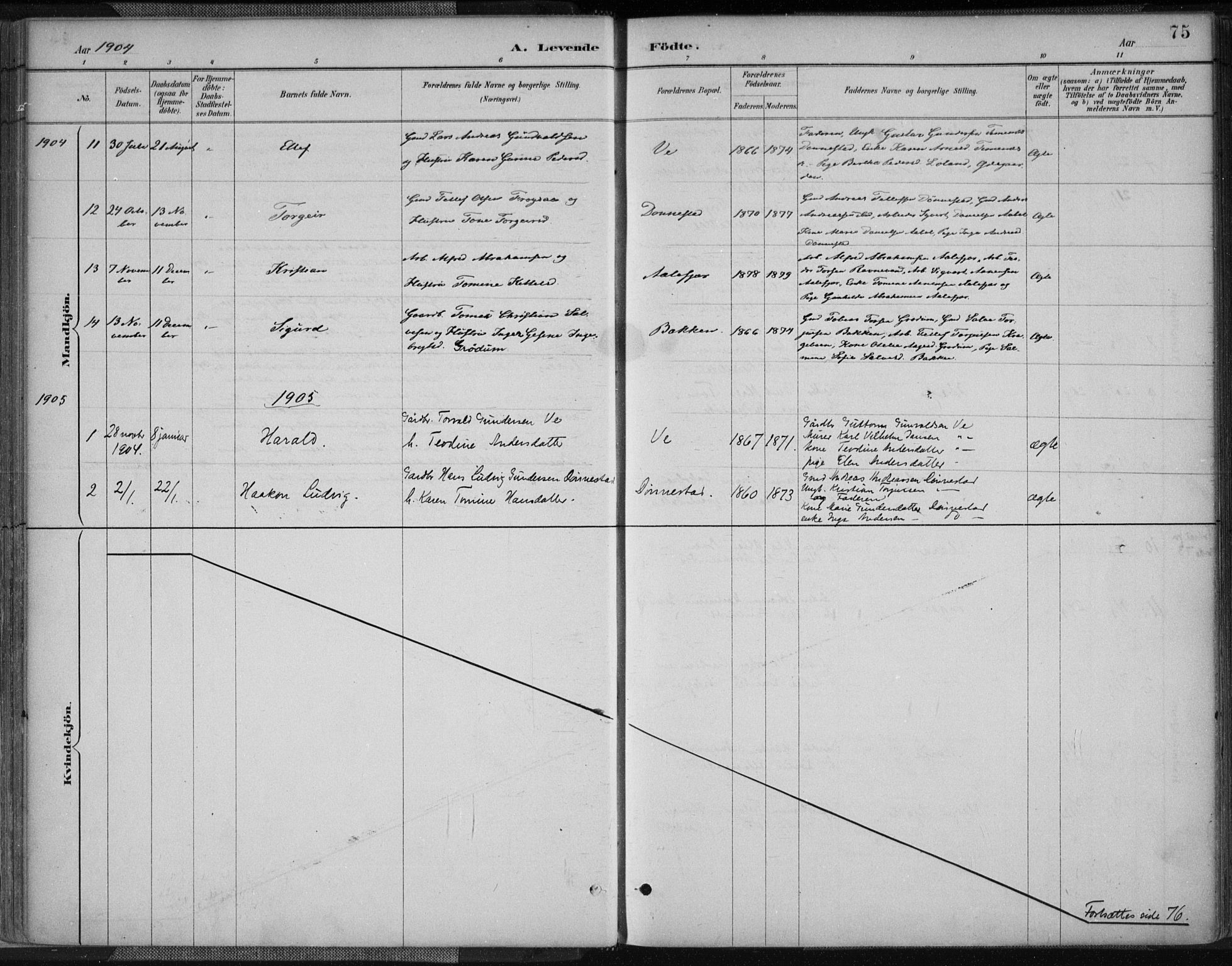 Tveit sokneprestkontor, AV/SAK-1111-0043/F/Fa/L0007: Parish register (official) no. A 7, 1887-1908, p. 75