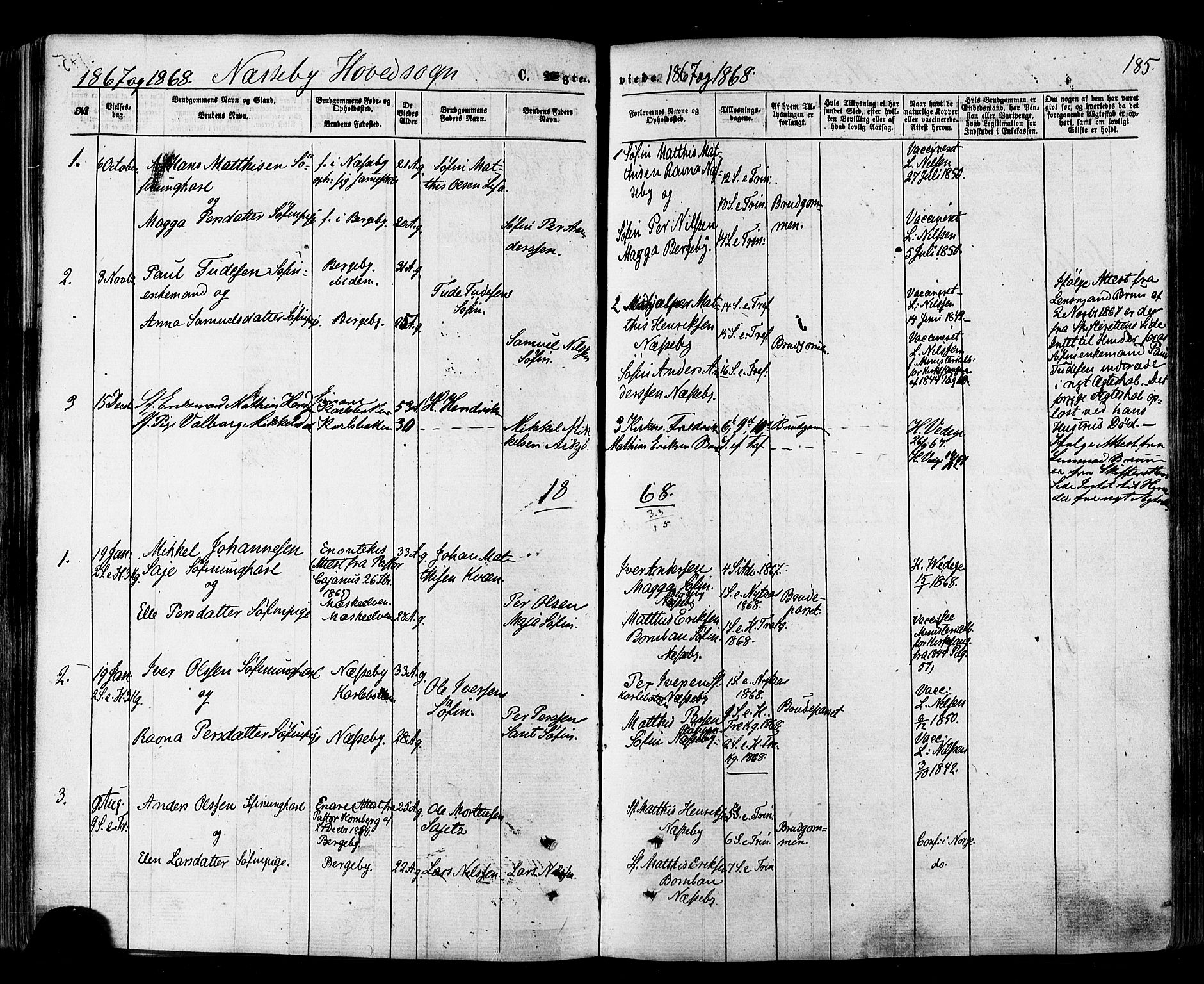 Nesseby sokneprestkontor, SATØ/S-1330/H/Ha/L0003kirke: Parish register (official) no. 3 /1, 1865-1876, p. 185