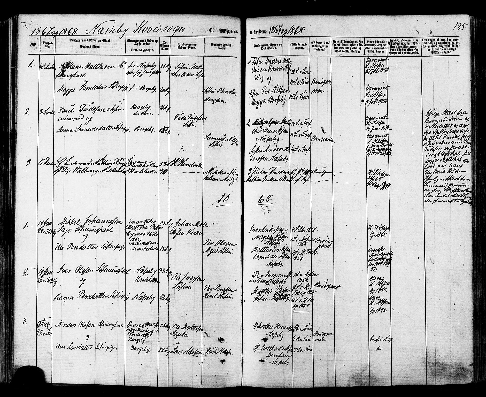 Nesseby sokneprestkontor, AV/SATØ-S-1330/H/Ha/L0003kirke: Parish register (official) no. 3 /1, 1865-1876, p. 185