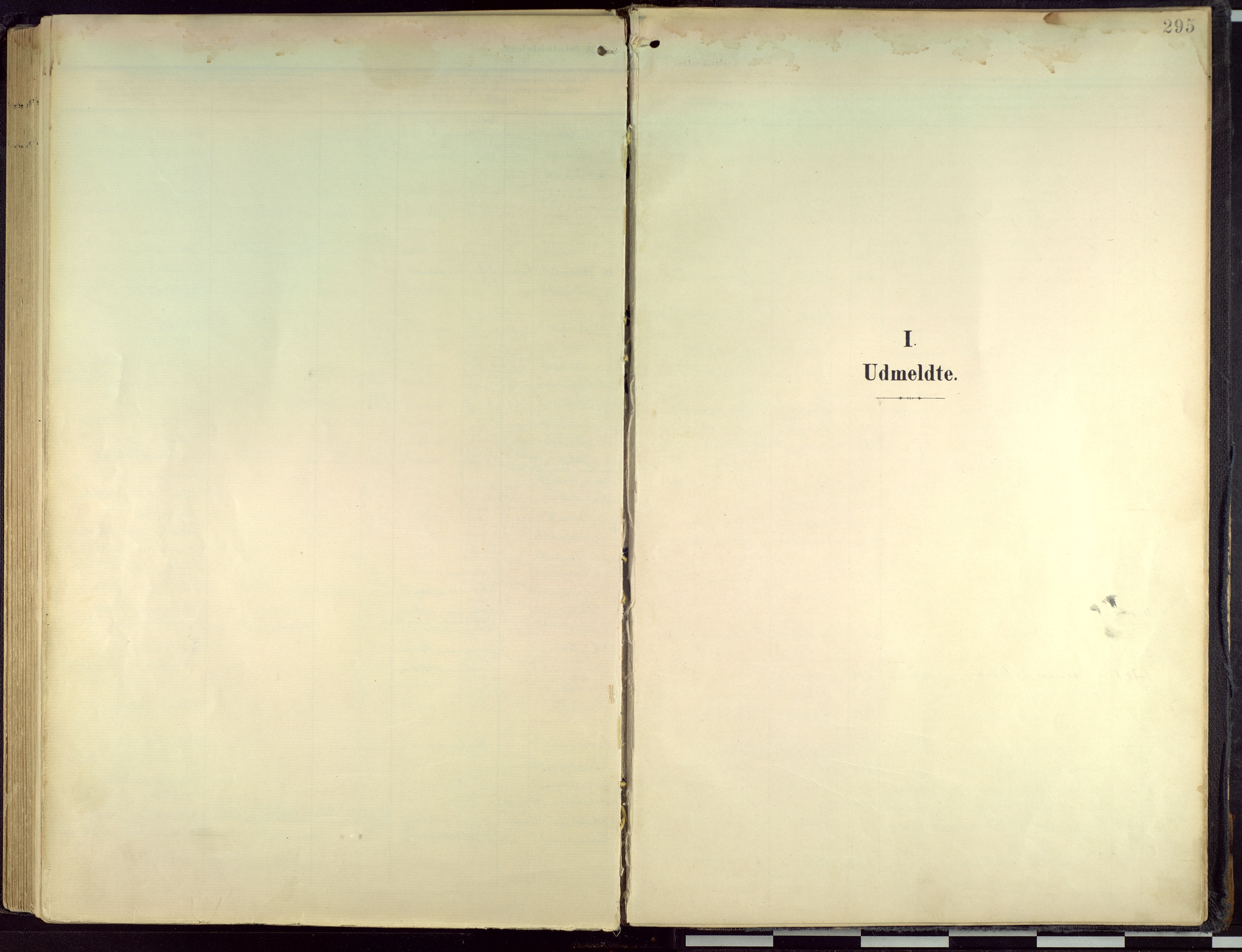 Hamar prestekontor, SAH/DOMPH-002/H/Ha/Haa/L0004: Parish register (official) no. 4, 1899-1973, p. 295