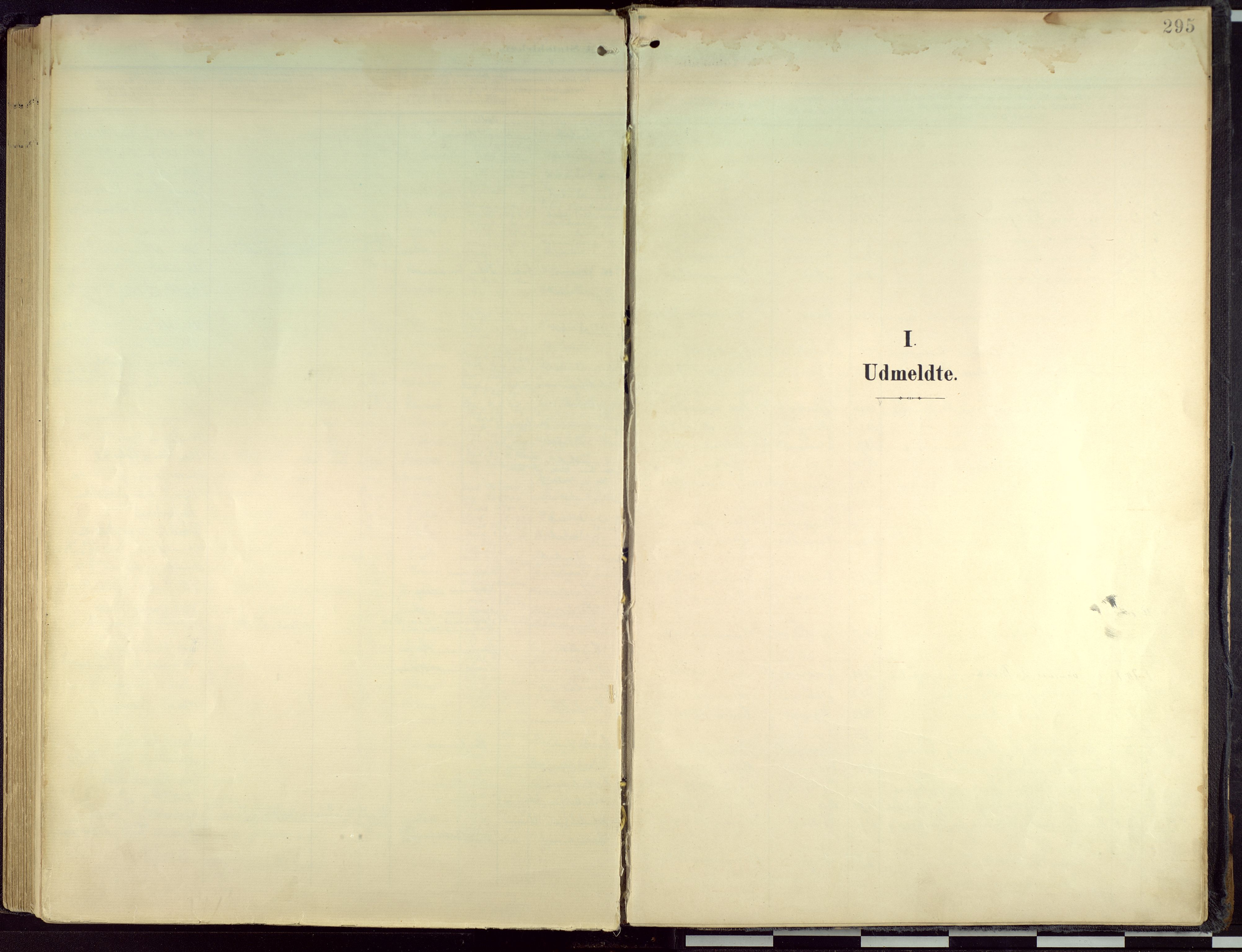 Hamar prestekontor, AV/SAH-DOMPH-002/H/Ha/Haa/L0004: Parish register (official) no. 4, 1899-1973, p. 295