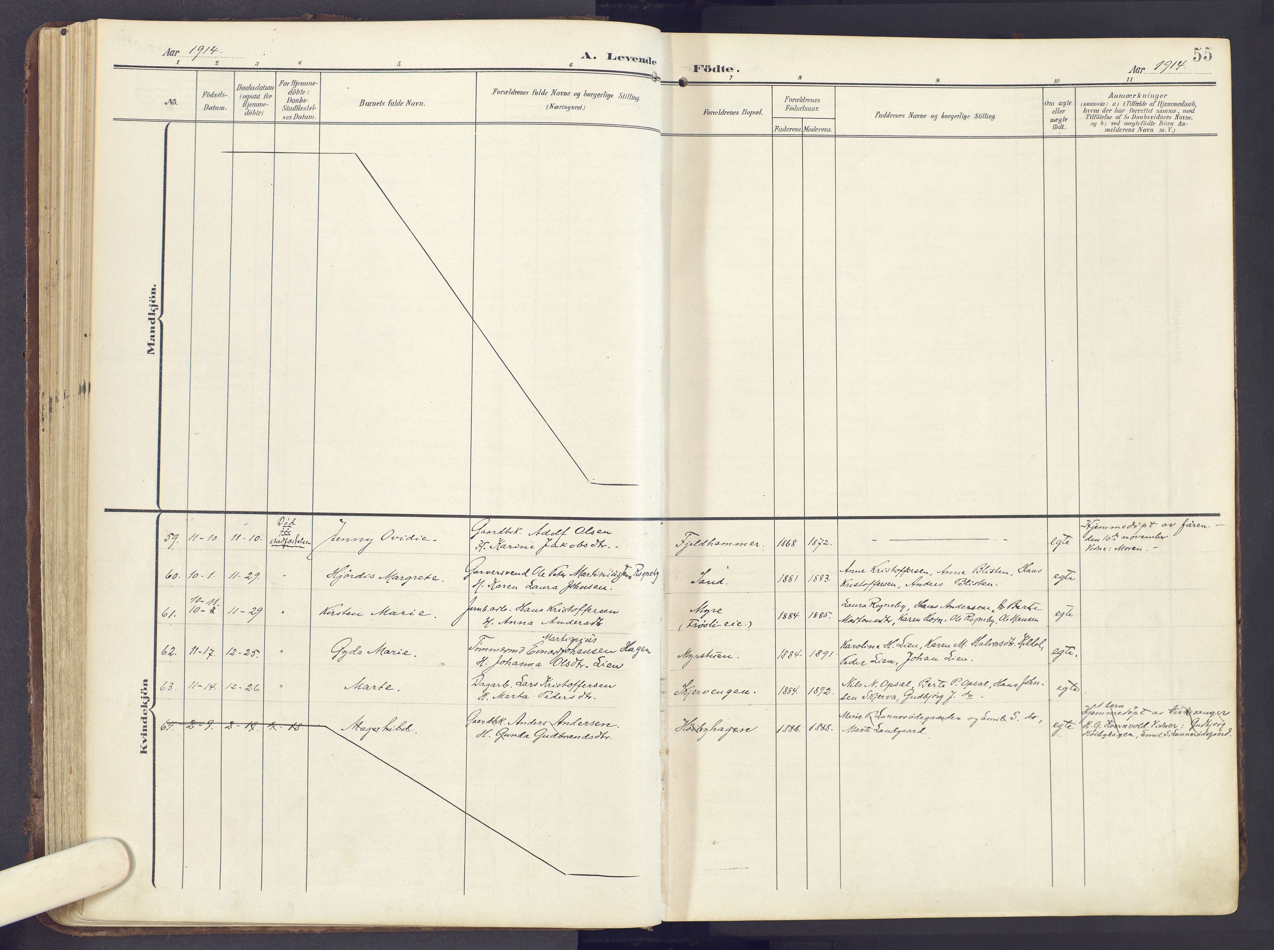 Lunner prestekontor, SAH/PREST-118/H/Ha/Haa/L0001: Parish register (official) no. 1, 1907-1922, p. 55