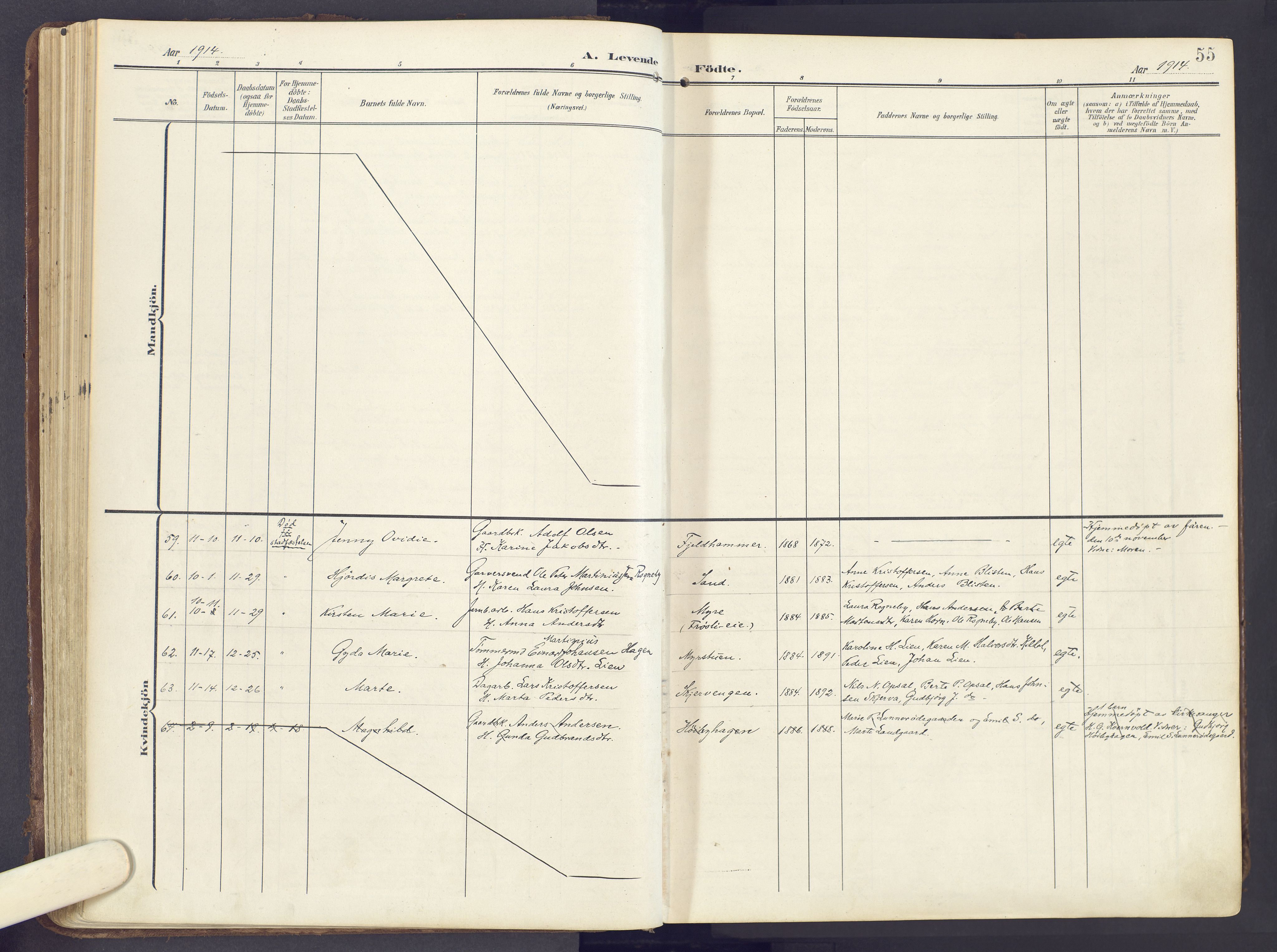 Lunner prestekontor, AV/SAH-PREST-118/H/Ha/Haa/L0001: Parish register (official) no. 1, 1907-1922, p. 55