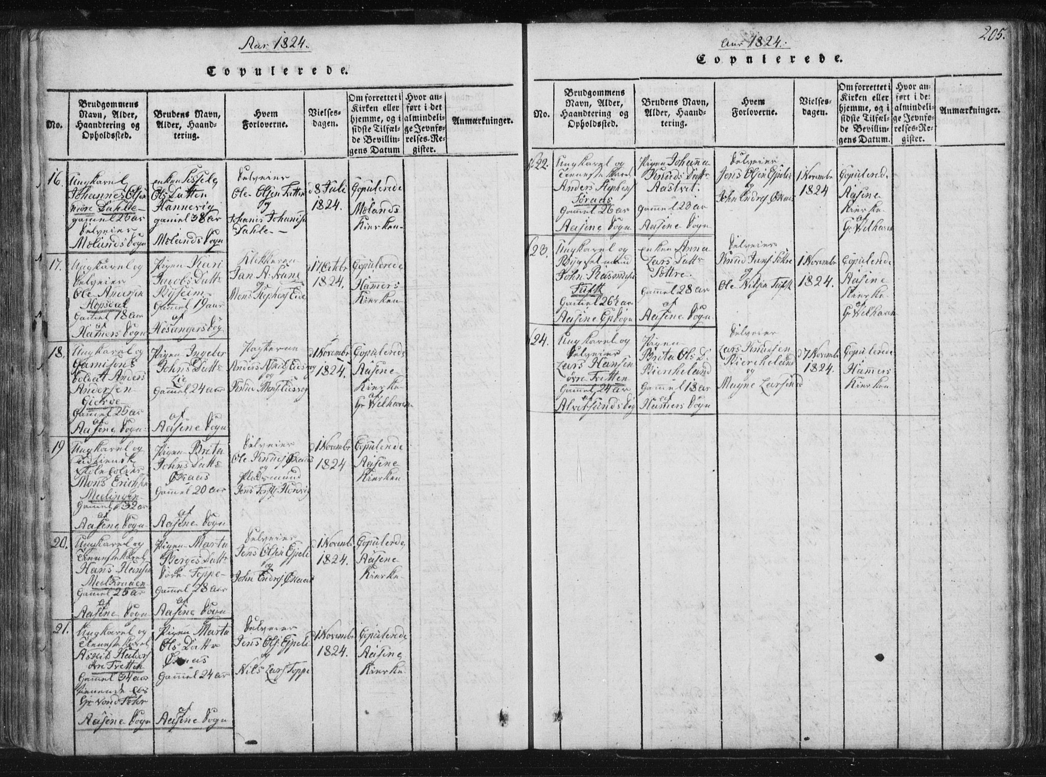 Hamre sokneprestembete, AV/SAB-A-75501/H/Ha/Haa/Haaa/L0010: Parish register (official) no. A 10, 1816-1826, p. 205