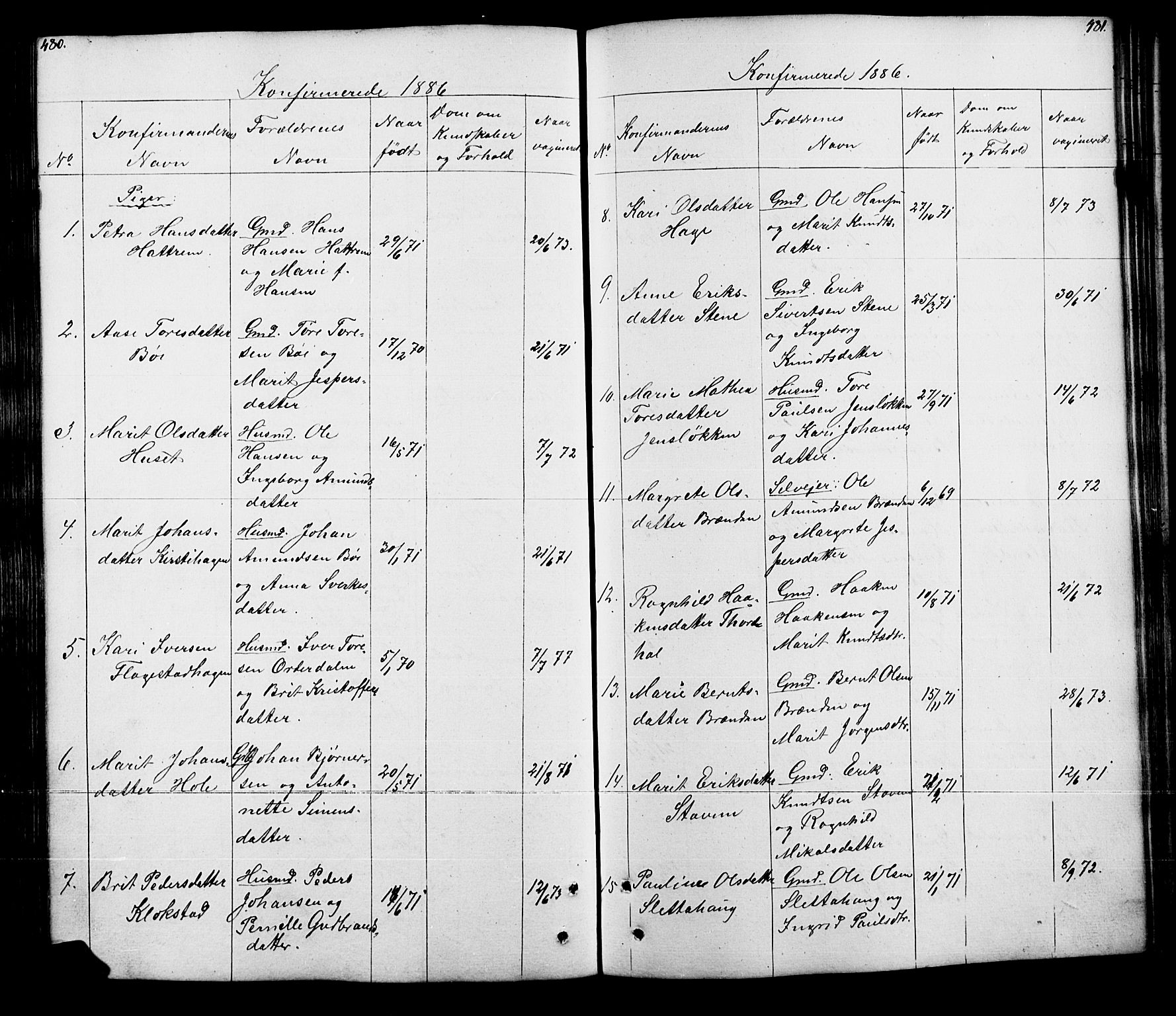 Lesja prestekontor, SAH/PREST-068/H/Ha/Hab/L0005: Parish register (copy) no. 5, 1850-1894, p. 480-481