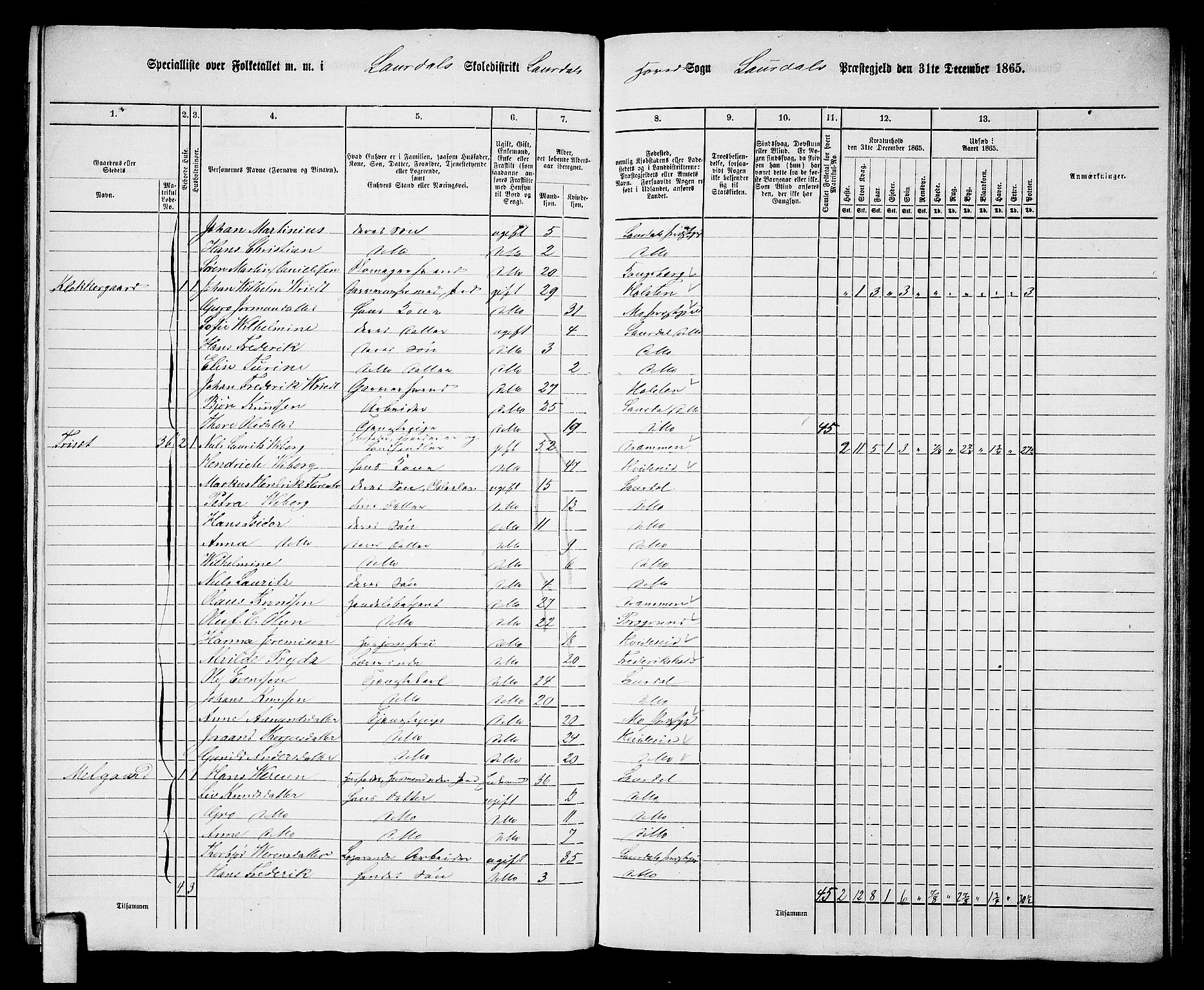 RA, 1865 census for Lårdal, 1865, p. 8