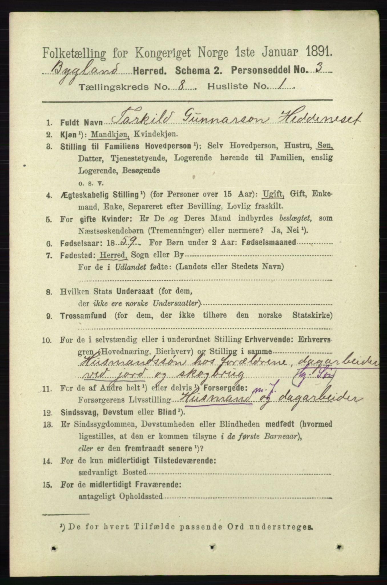 RA, 1891 census for 0938 Bygland, 1891, p. 1917