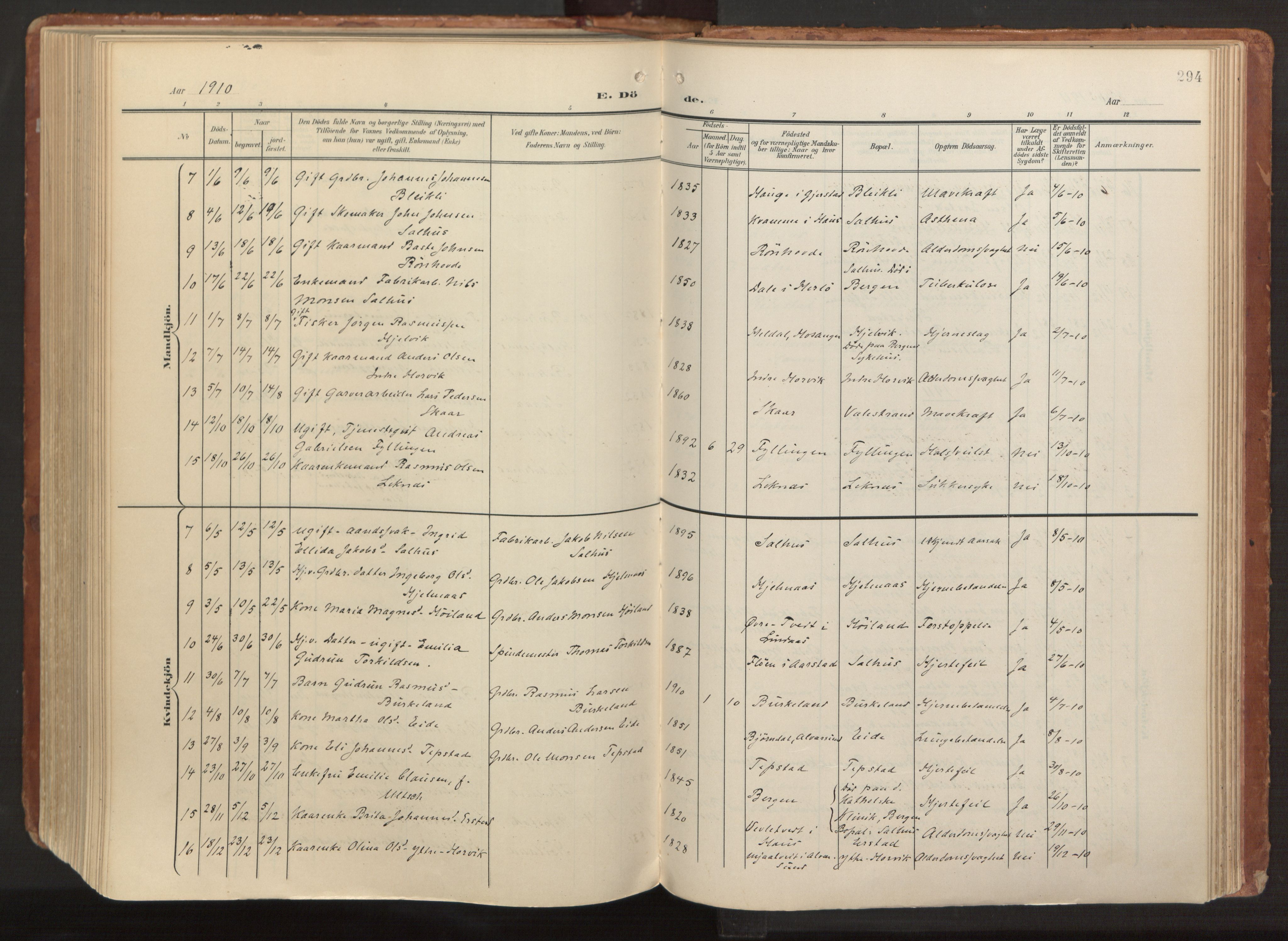 Hamre sokneprestembete, AV/SAB-A-75501/H/Ha/Haa/Haab/L0002: Parish register (official) no. B 2, 1905-1924, p. 294