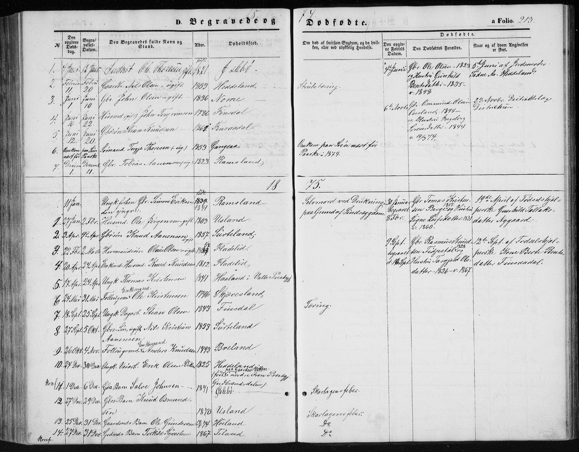 Holum sokneprestkontor, AV/SAK-1111-0022/F/Fb/Fbc/L0002: Parish register (copy) no. B 2, 1860-1882, p. 213