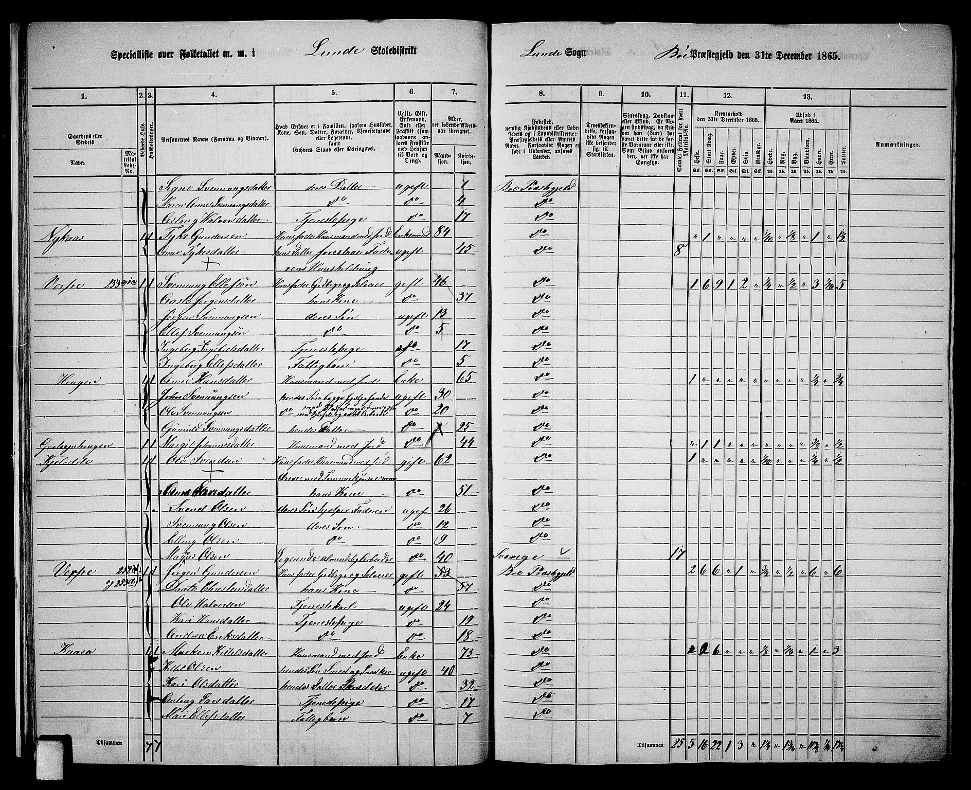 RA, 1865 census for Bø, 1865, p. 24