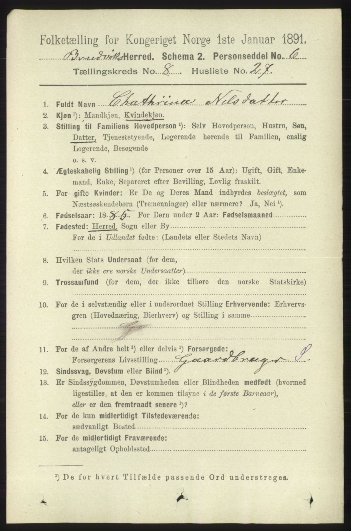 RA, 1891 census for 1251 Bruvik, 1891, p. 3205