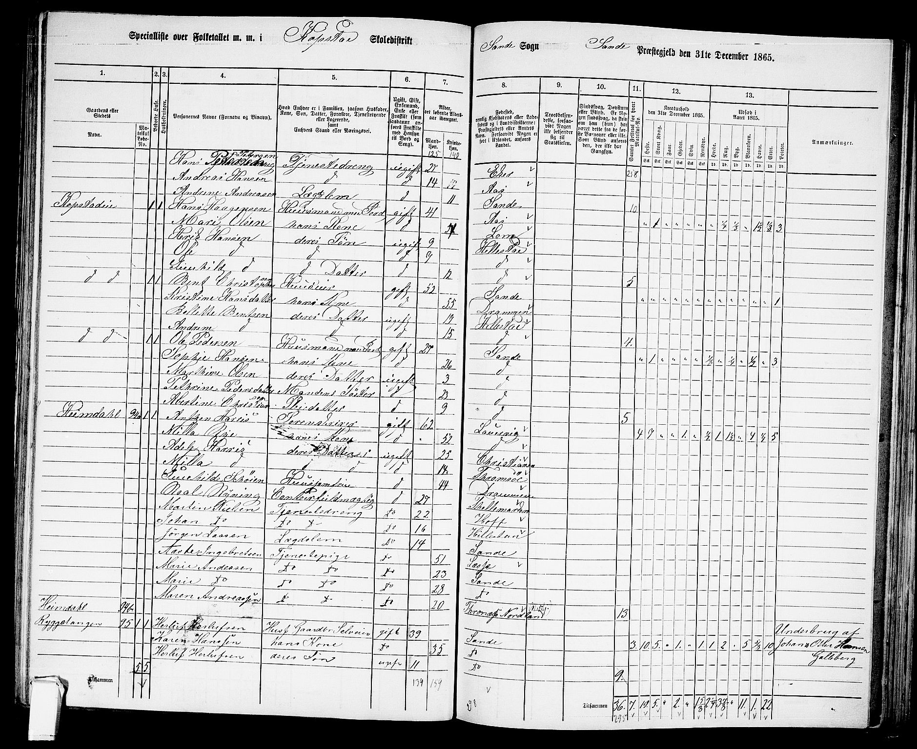 RA, 1865 census for Sande, 1865, p. 67