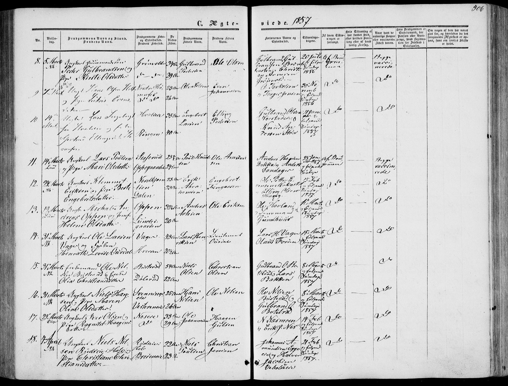 Norderhov kirkebøker, SAKO/A-237/F/Fa/L0012: Parish register (official) no. 12, 1856-1865, p. 306