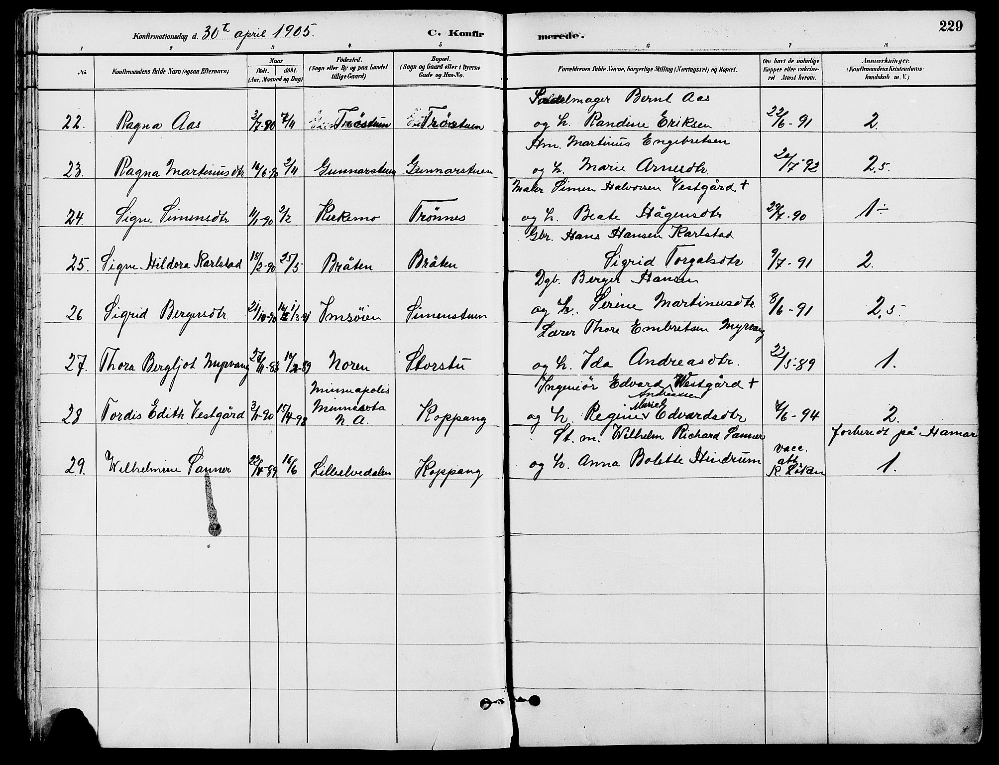 Stor-Elvdal prestekontor, AV/SAH-PREST-052/H/Ha/Haa/L0002: Parish register (official) no. 2, 1882-1907, p. 229