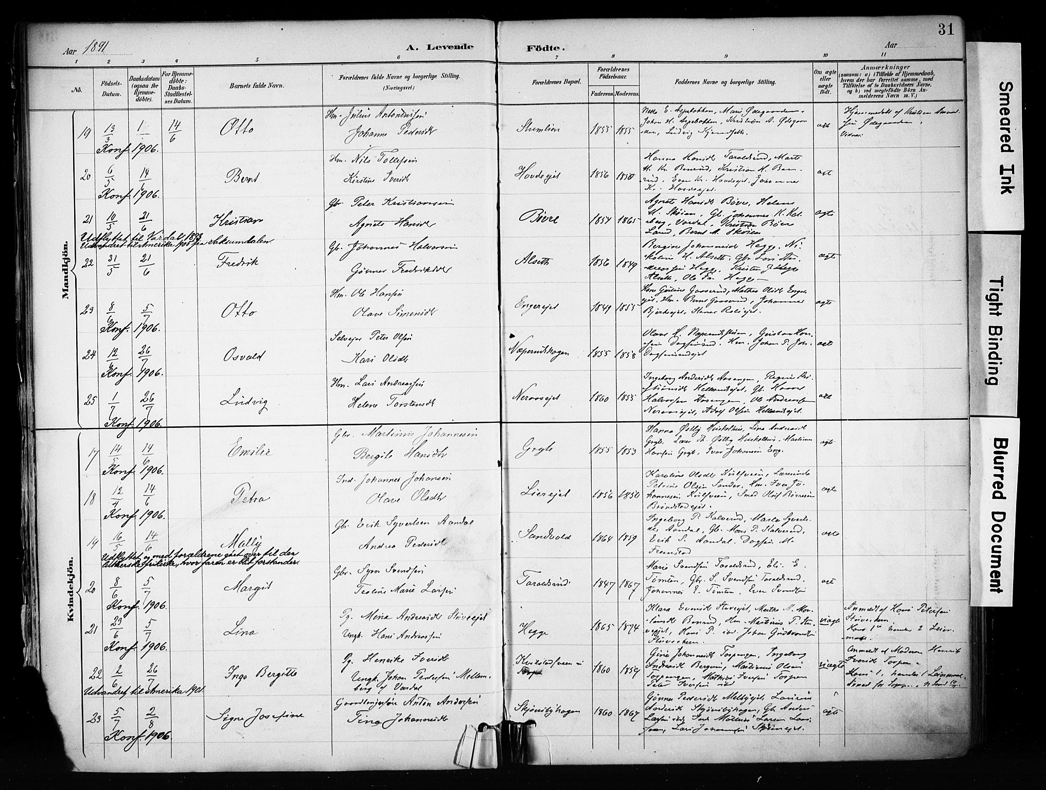 Biri prestekontor, AV/SAH-PREST-096/H/Ha/Haa/L0009: Parish register (official) no. 9, 1887-1900, p. 31