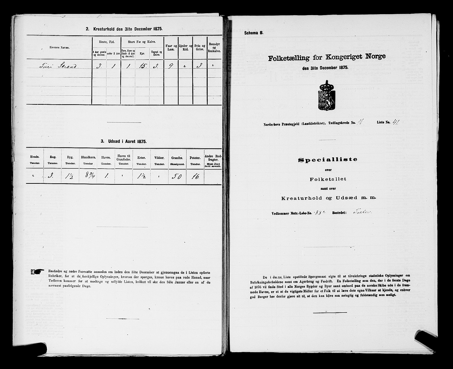 SAKO, 1875 census for 0613L Norderhov/Norderhov, Haug og Lunder, 1875, p. 2243