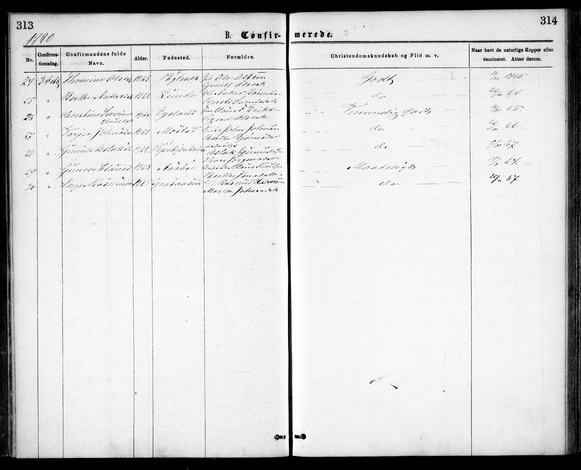 Gjerstad sokneprestkontor, AV/SAK-1111-0014/F/Fa/Faa/L0008: Parish register (official) no. A 8, 1876-1884, p. 313-314