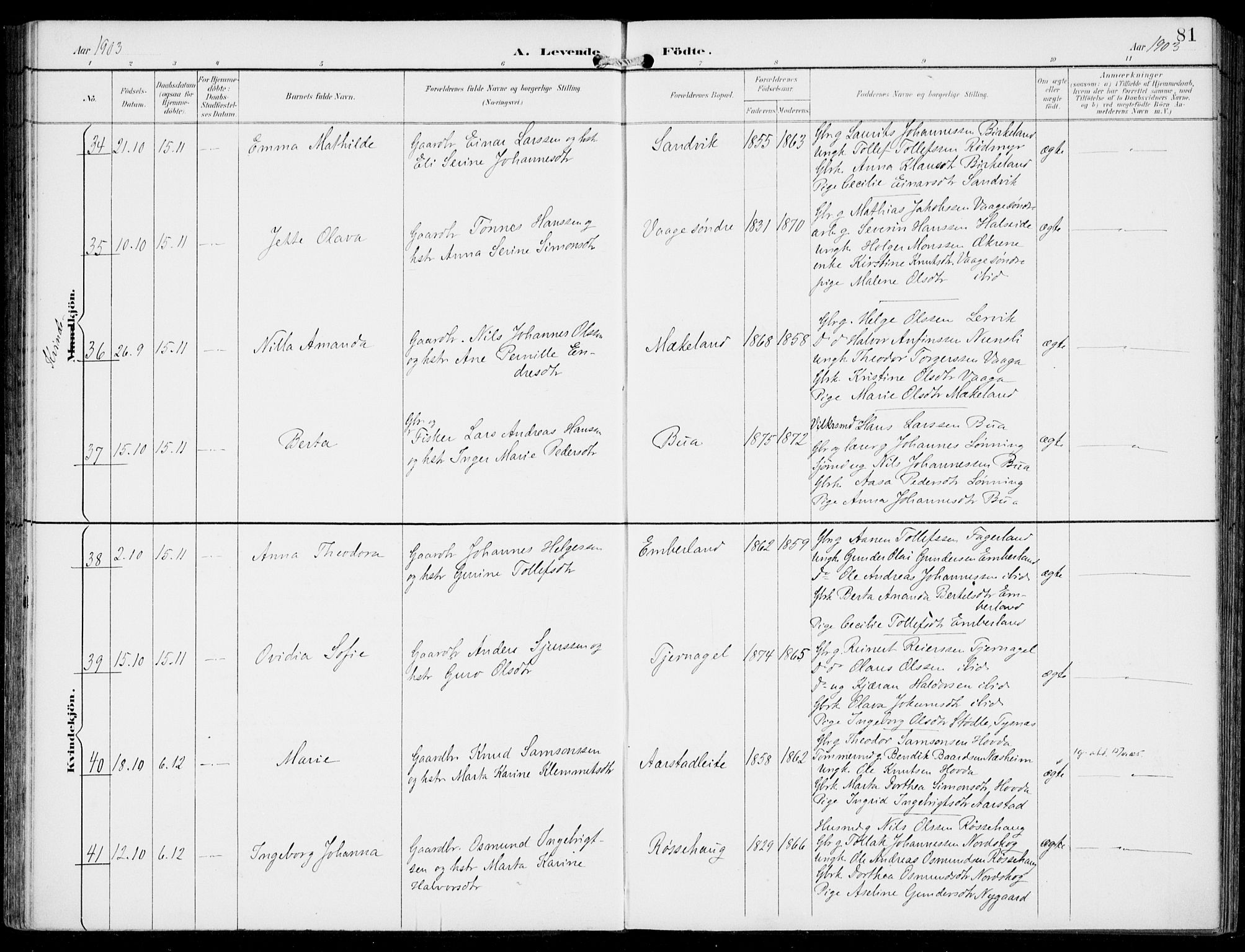 Sveio Sokneprestembete, AV/SAB-A-78501/H/Haa: Parish register (official) no. B  3, 1894-1906, p. 81