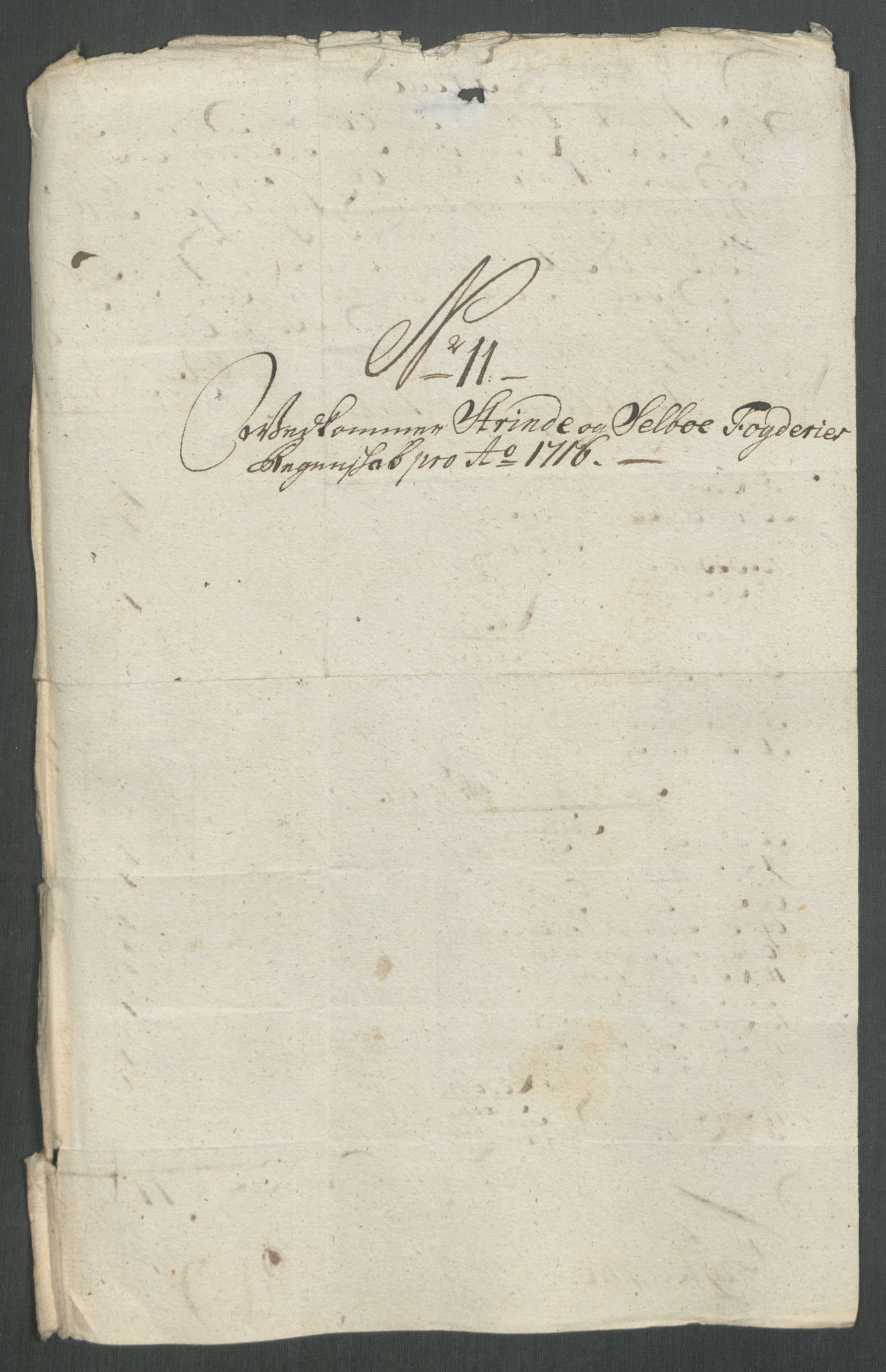 Rentekammeret inntil 1814, Reviderte regnskaper, Fogderegnskap, AV/RA-EA-4092/R61/L4115: Fogderegnskap Strinda og Selbu, 1715-1716, p. 366