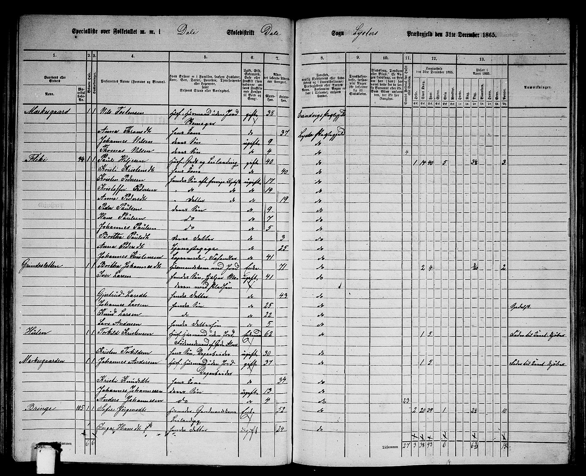 RA, 1865 census for Luster, 1865, p. 90