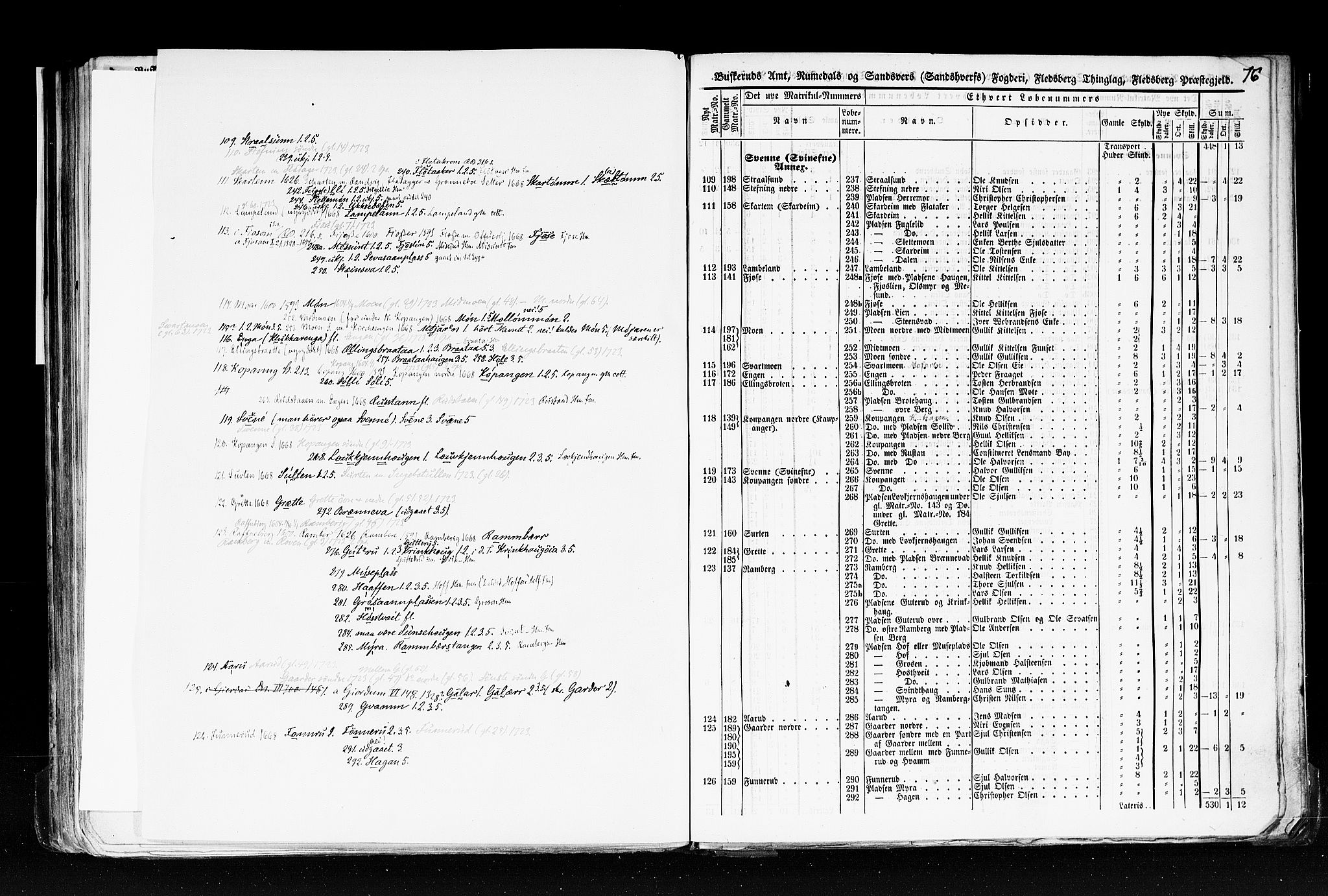 Rygh, AV/RA-PA-0034/F/Fb/L0005: Matrikkelen for 1838 - Buskerud amt (Buskerud fylke), 1838, p. 76a