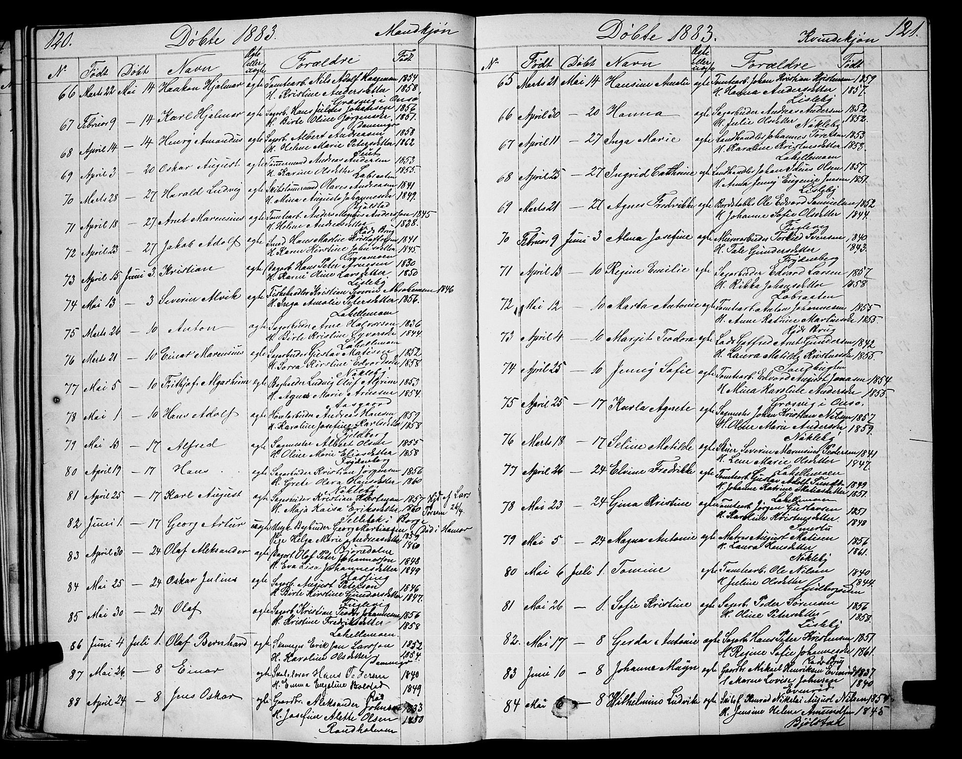Glemmen prestekontor Kirkebøker, AV/SAO-A-10908/G/Ga/L0005: Parish register (copy) no. 5, 1876-1893, p. 120-121