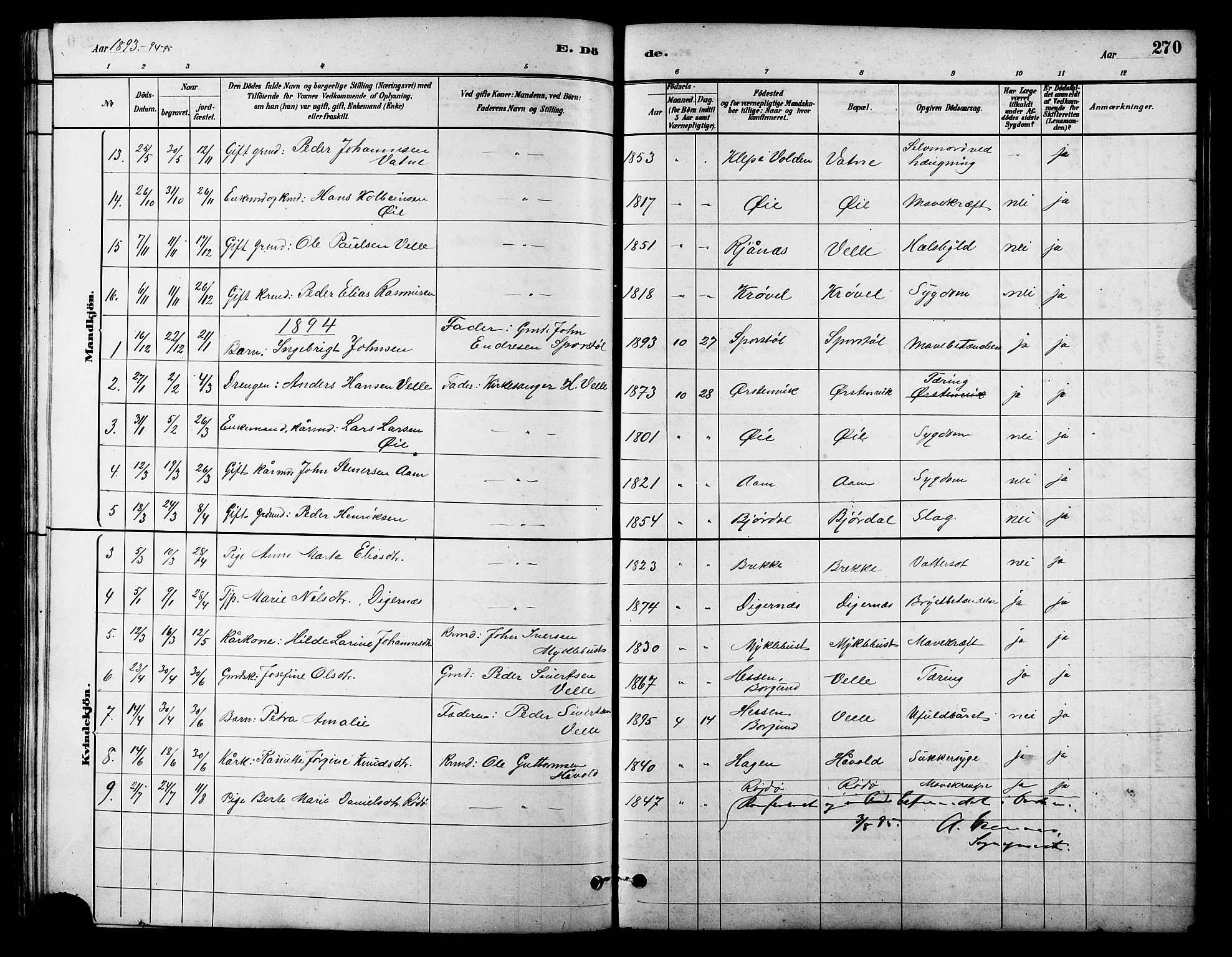 Ministerialprotokoller, klokkerbøker og fødselsregistre - Møre og Romsdal, AV/SAT-A-1454/513/L0189: Parish register (copy) no. 513C03, 1883-1904, p. 270