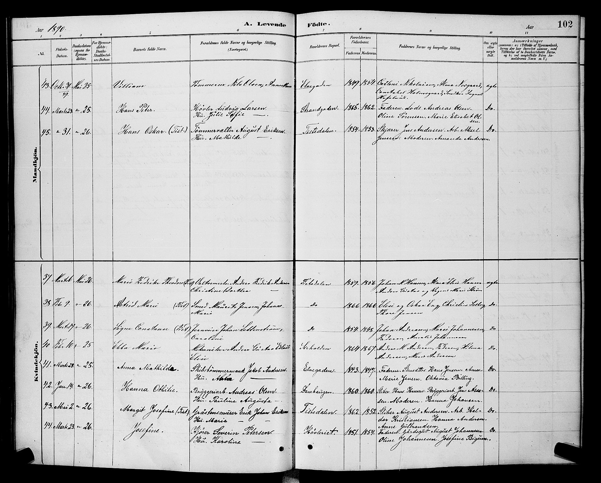 Halden prestekontor Kirkebøker, AV/SAO-A-10909/G/Ga/L0008: Parish register (copy) no. 8, 1885-1899, p. 102