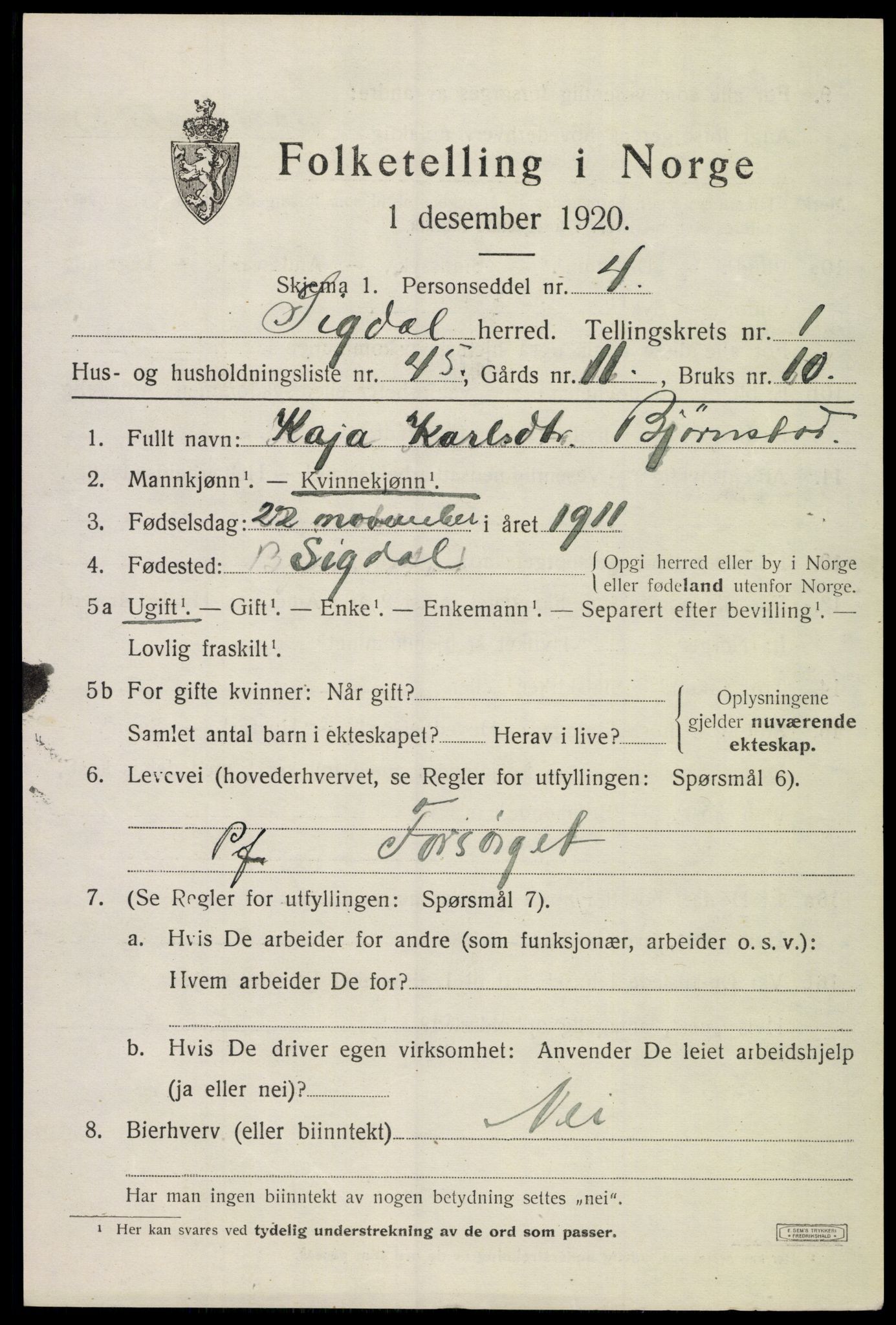 SAKO, 1920 census for Sigdal, 1920, p. 1958