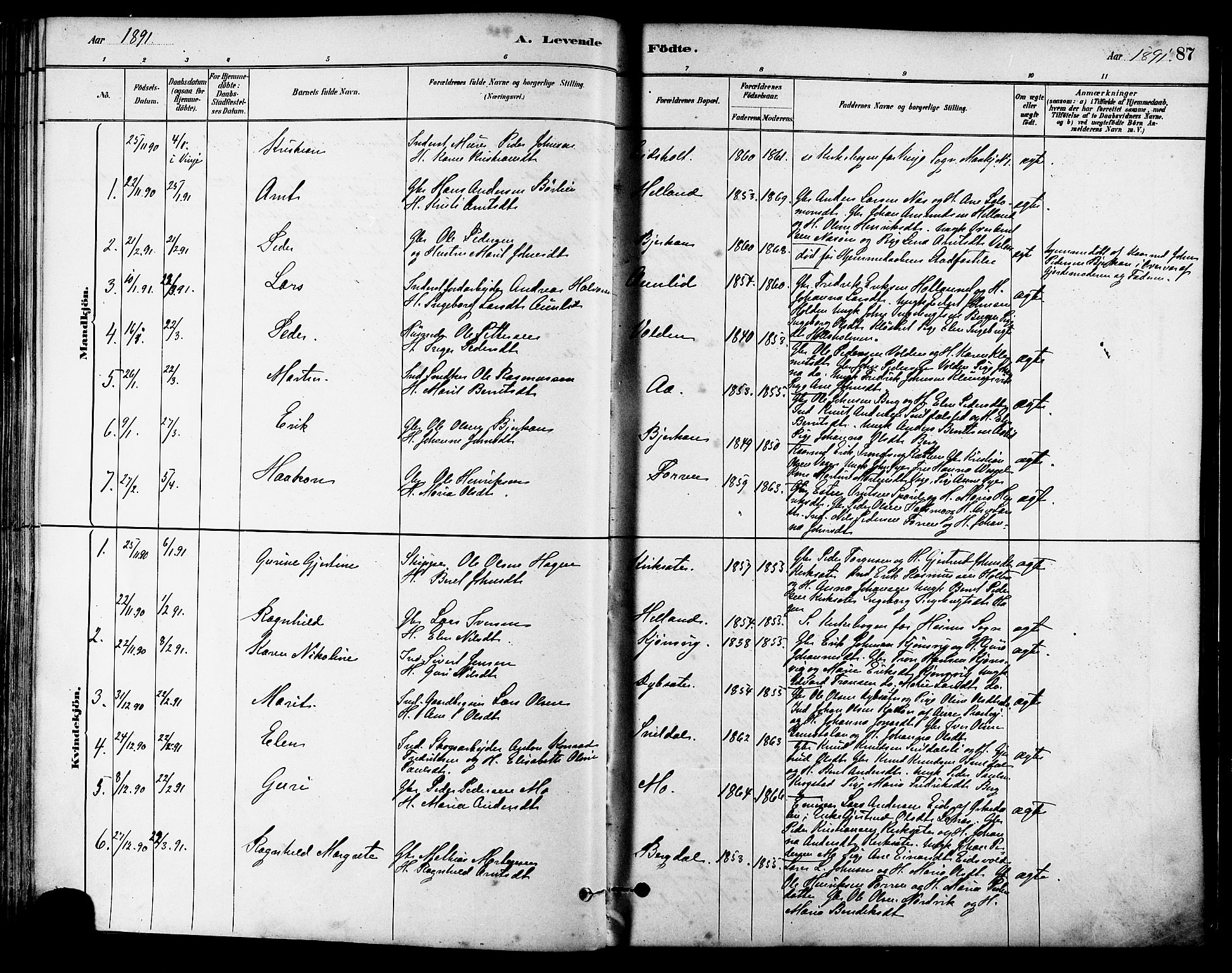 Ministerialprotokoller, klokkerbøker og fødselsregistre - Sør-Trøndelag, SAT/A-1456/630/L0496: Parish register (official) no. 630A09, 1879-1895, p. 87