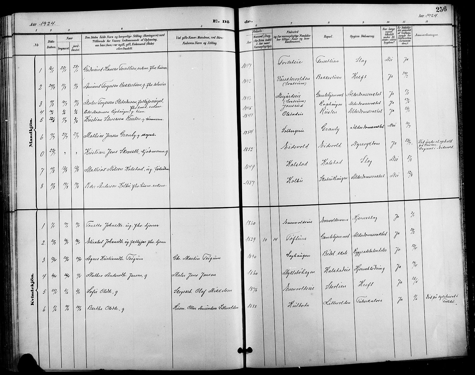 Vestre Gausdal prestekontor, SAH/PREST-094/H/Ha/Hab/L0003: Parish register (copy) no. 3, 1896-1925, p. 256