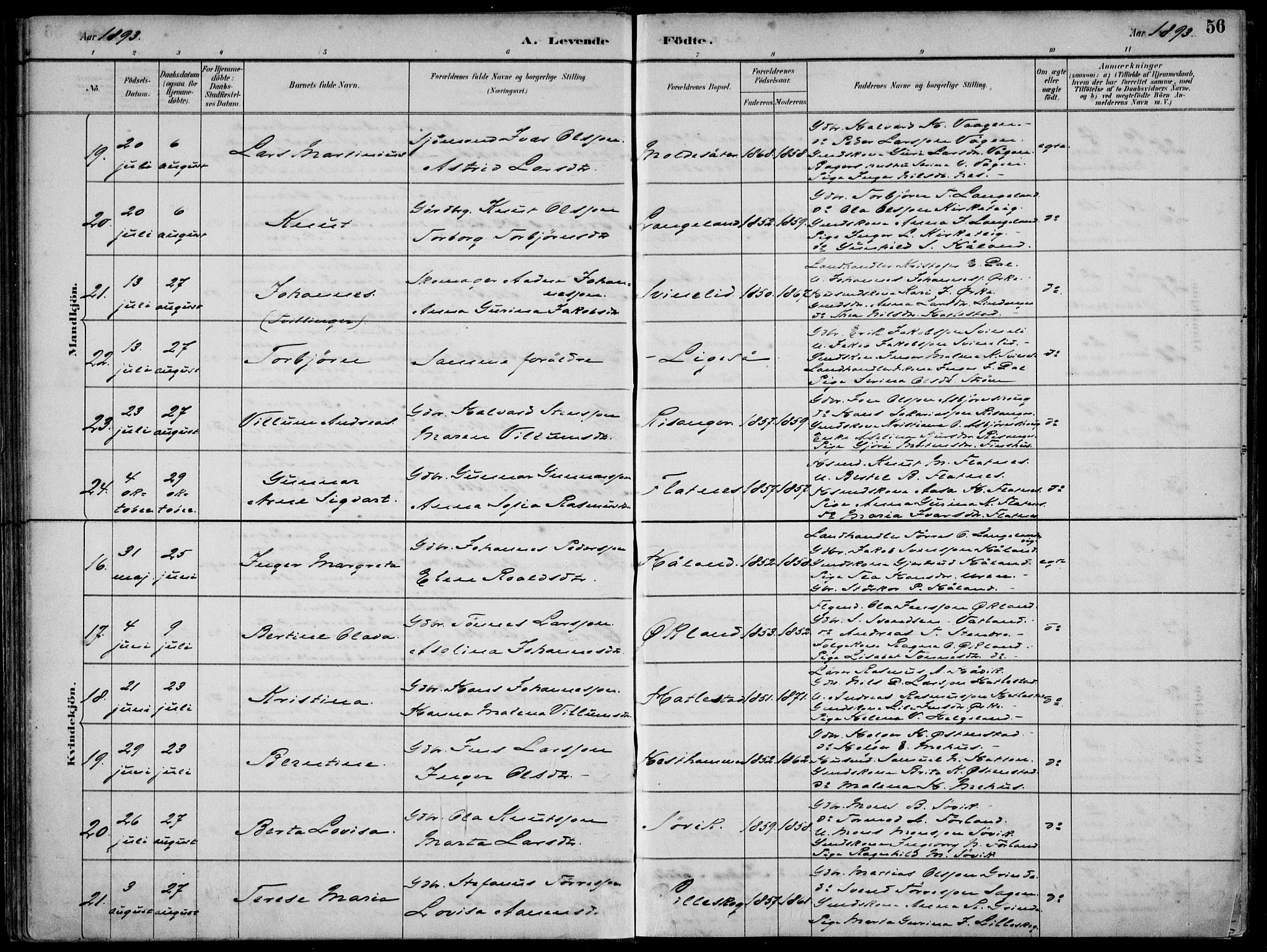 Skjold sokneprestkontor, AV/SAST-A-101847/H/Ha/Haa/L0010: Parish register (official) no. A 10, 1882-1897, p. 56